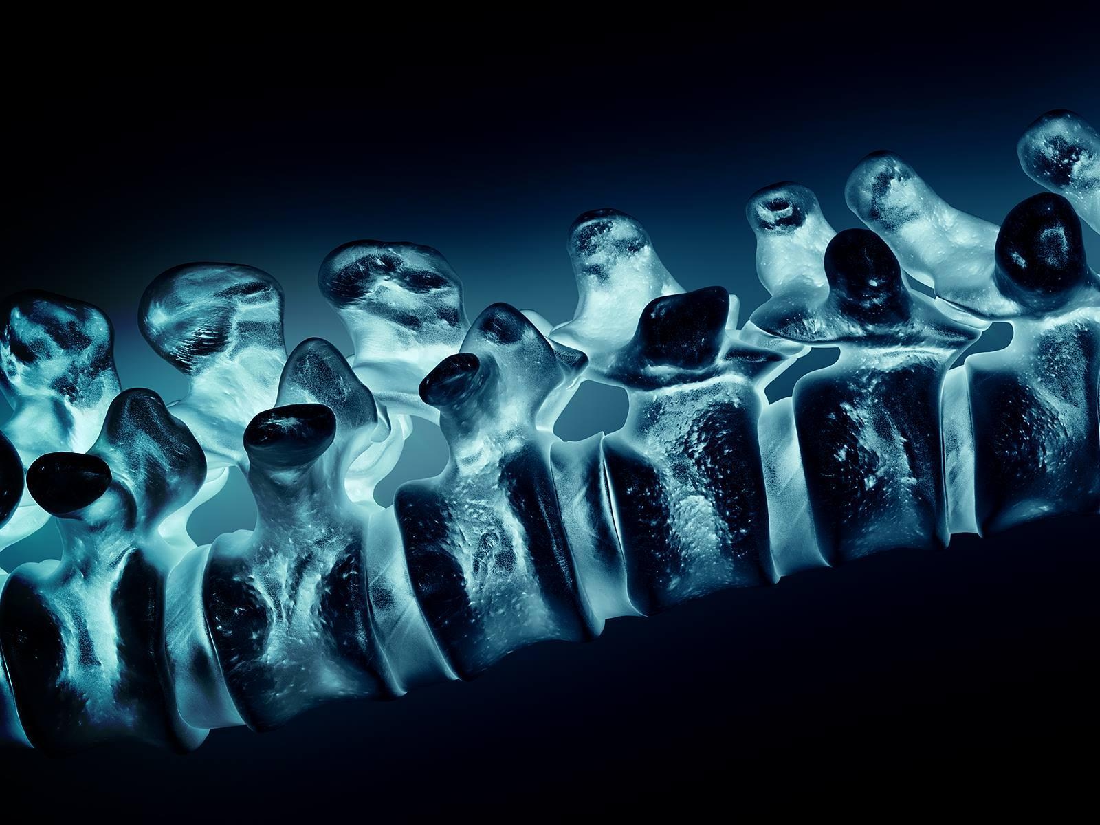 1600x1200 Neurosurgeon Wallpaper