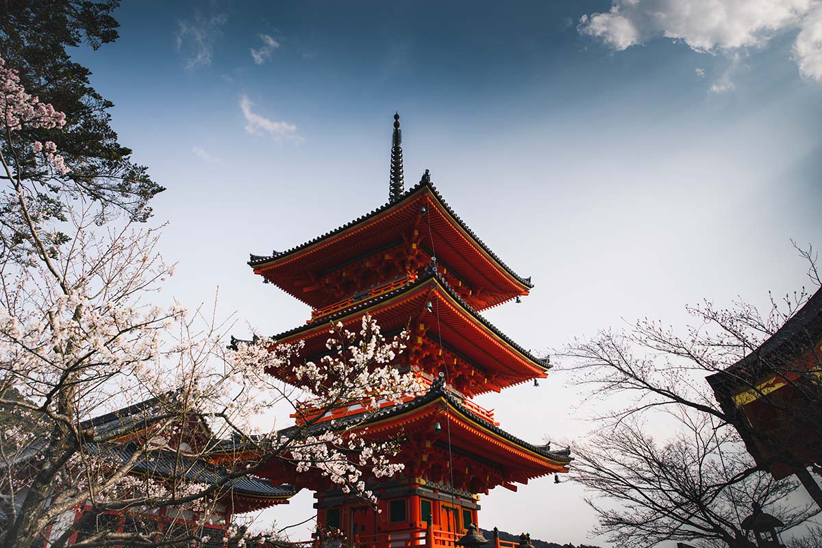 1200x800 Japanese Cherry Blossom Temple Mural Wallpaper