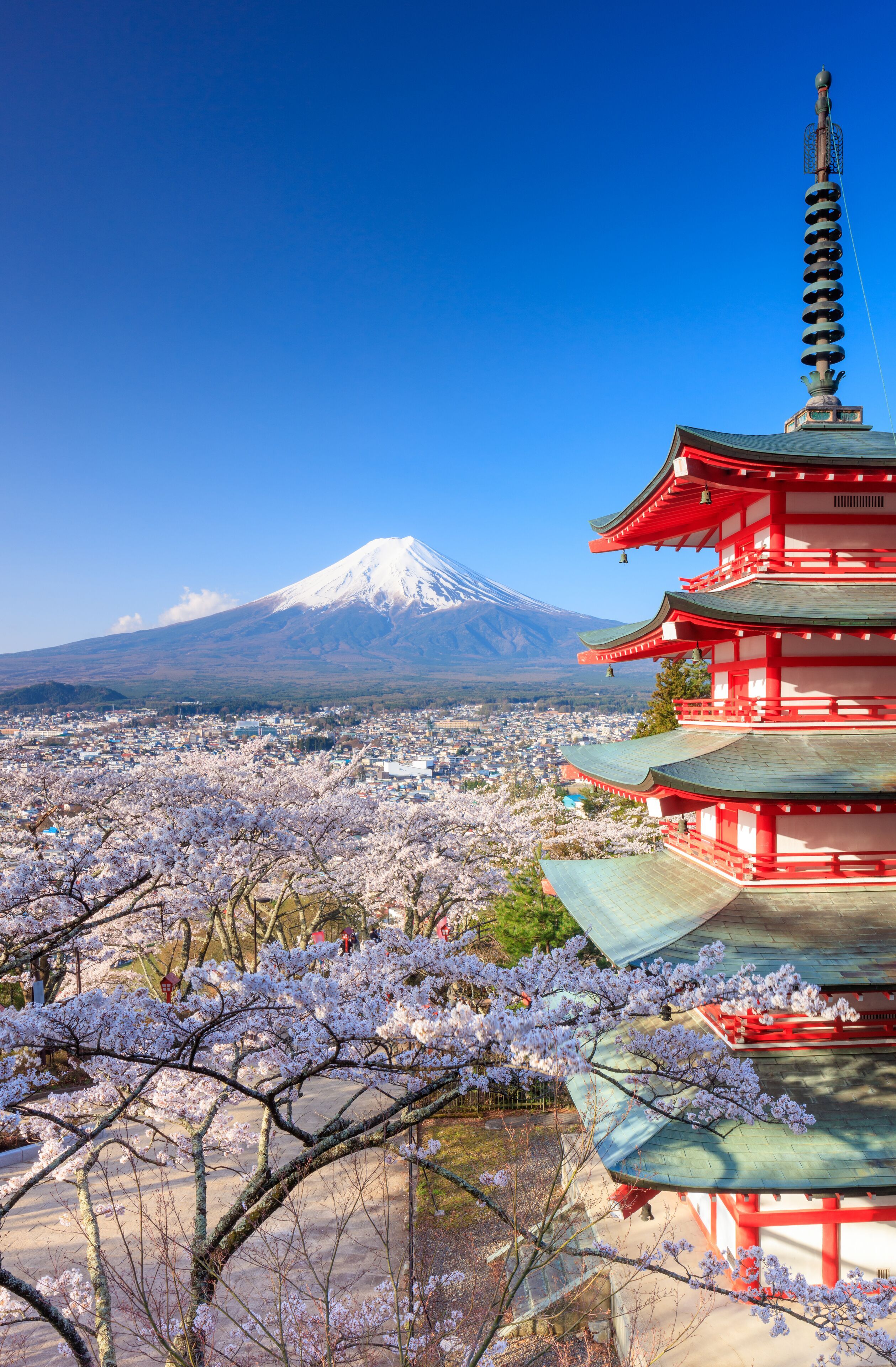 2518x3840 Chureito Pagoda Tours