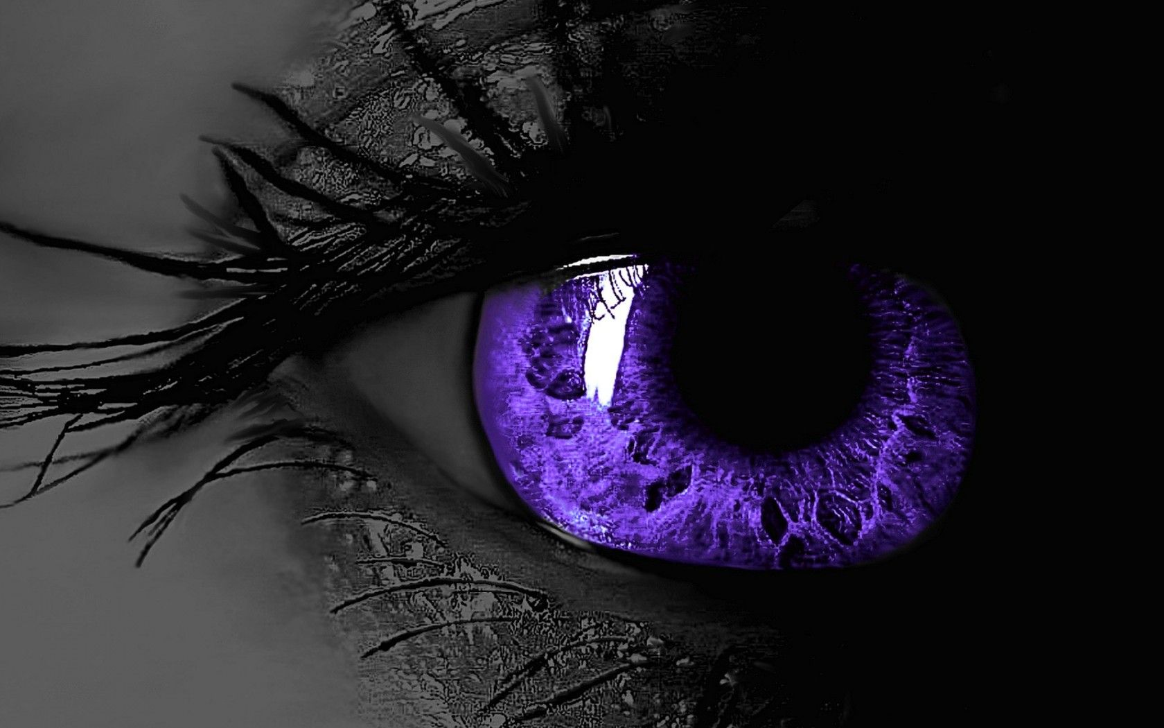 1680x1050 Black Purple Wallpaper 16616