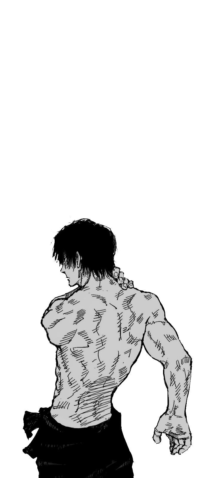 720x1600 Toji And Garou Black Wallpaper