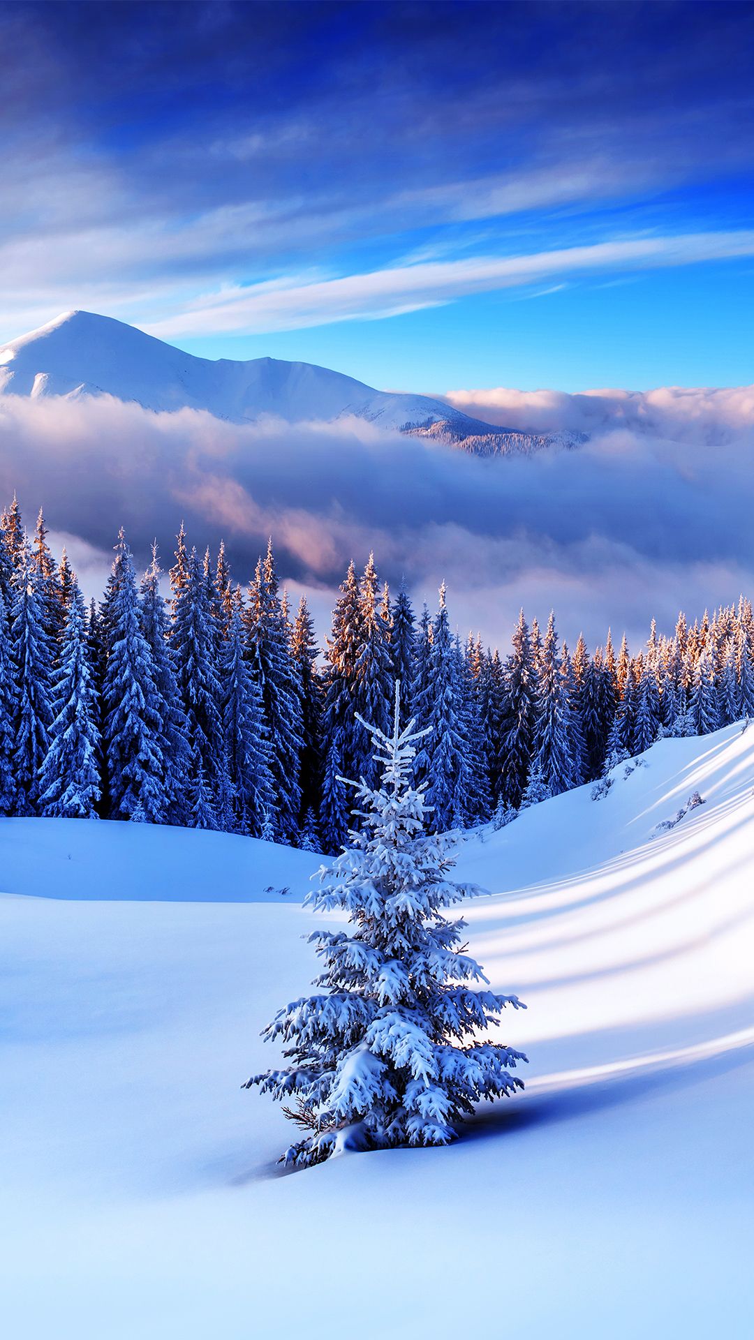 1080x1920 Winter Mountain Tree iPhone 6S Plus Wallpaper​-Quality Free Image and Transparent PNG Clipart