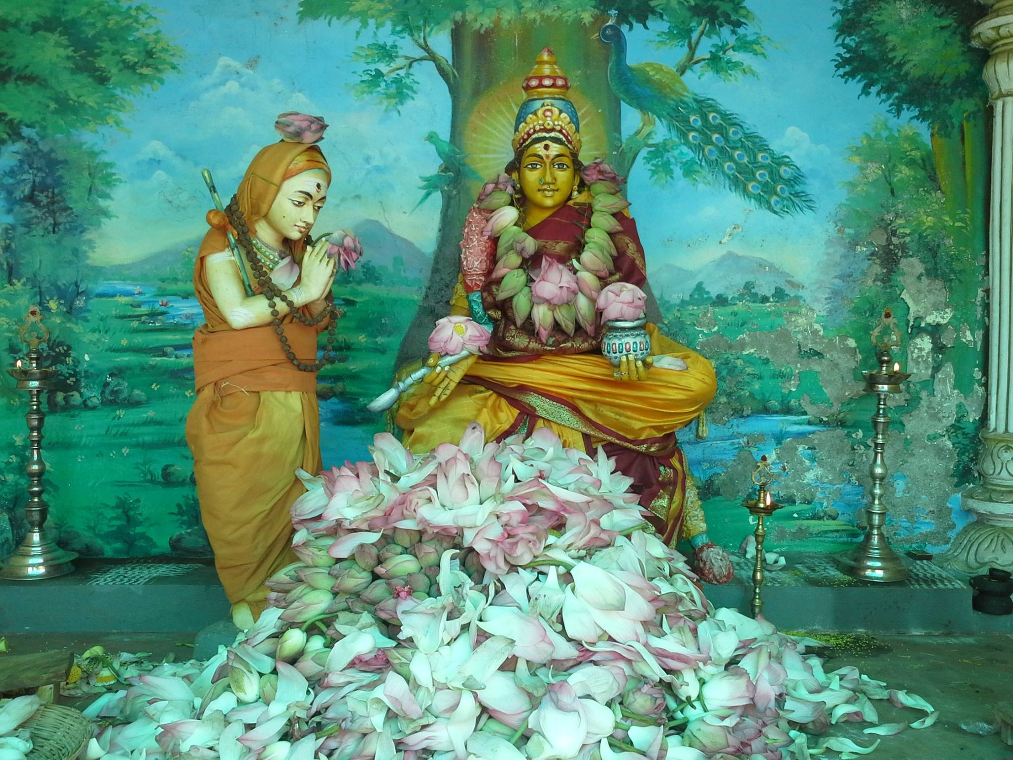 2048x1536 Adi Shankara Jayanthi with 1008 lotus flowers