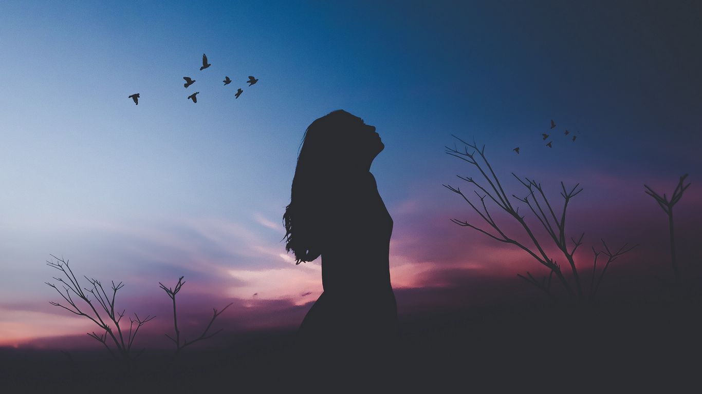 1366x768 Download wallpaper 1366x768 girl, silhouette, moon, birds, night, harmony, loneliness tablet, laptop HD background