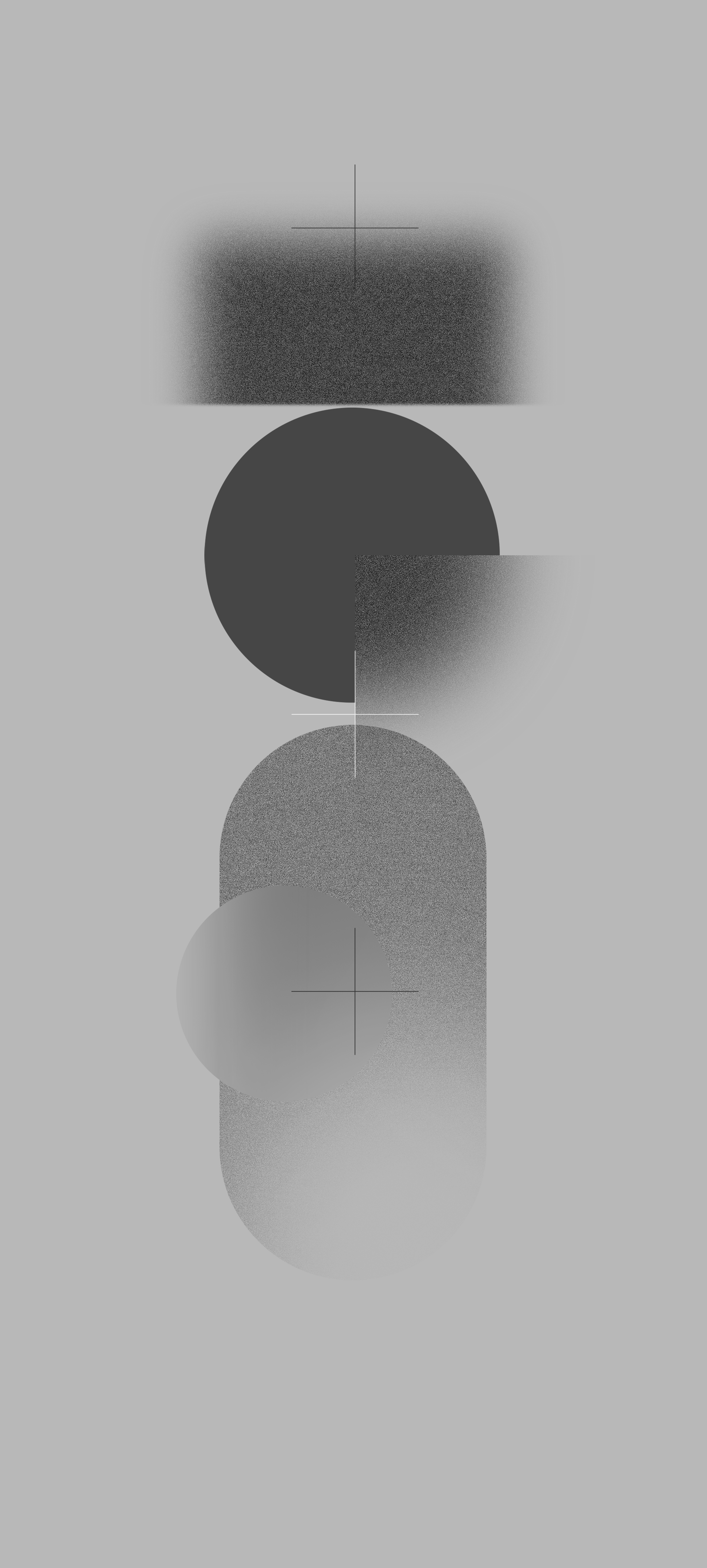 2488x5521 Mobile Monochrome Wallpaper Free High Quality Background