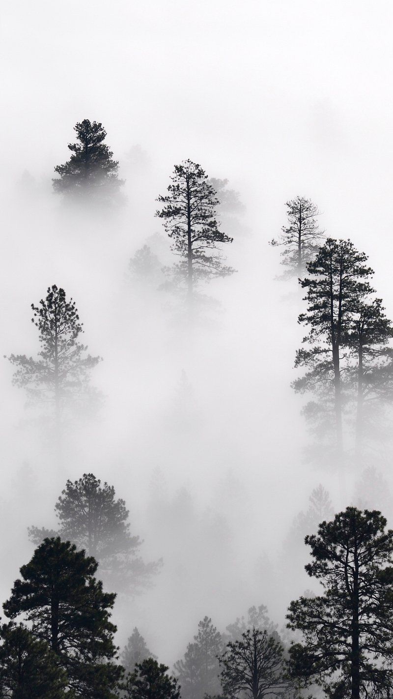 Monochrome Phone Wallpapers - Top Free Monochrome Phone Backgrounds