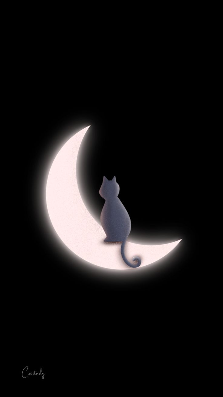 736x1309 Lonely Cat