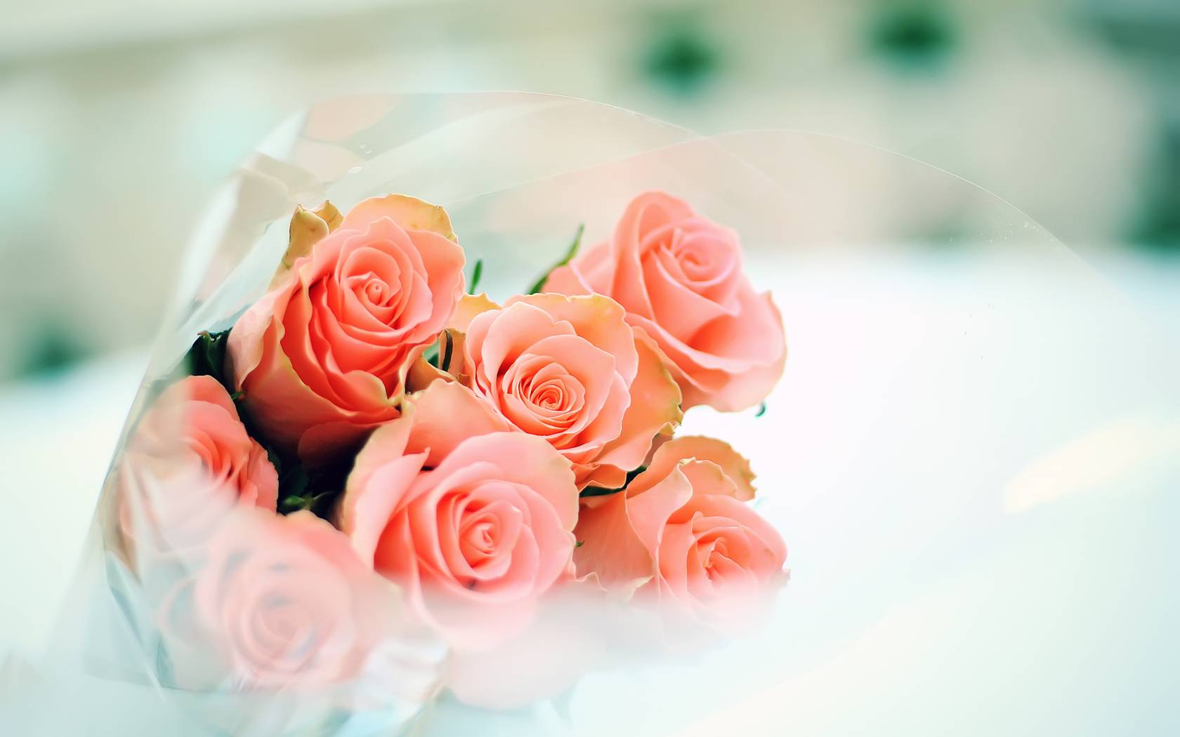 1680x1050 Cute Flowers Wallpaper For Mobile Flower Wallpaper