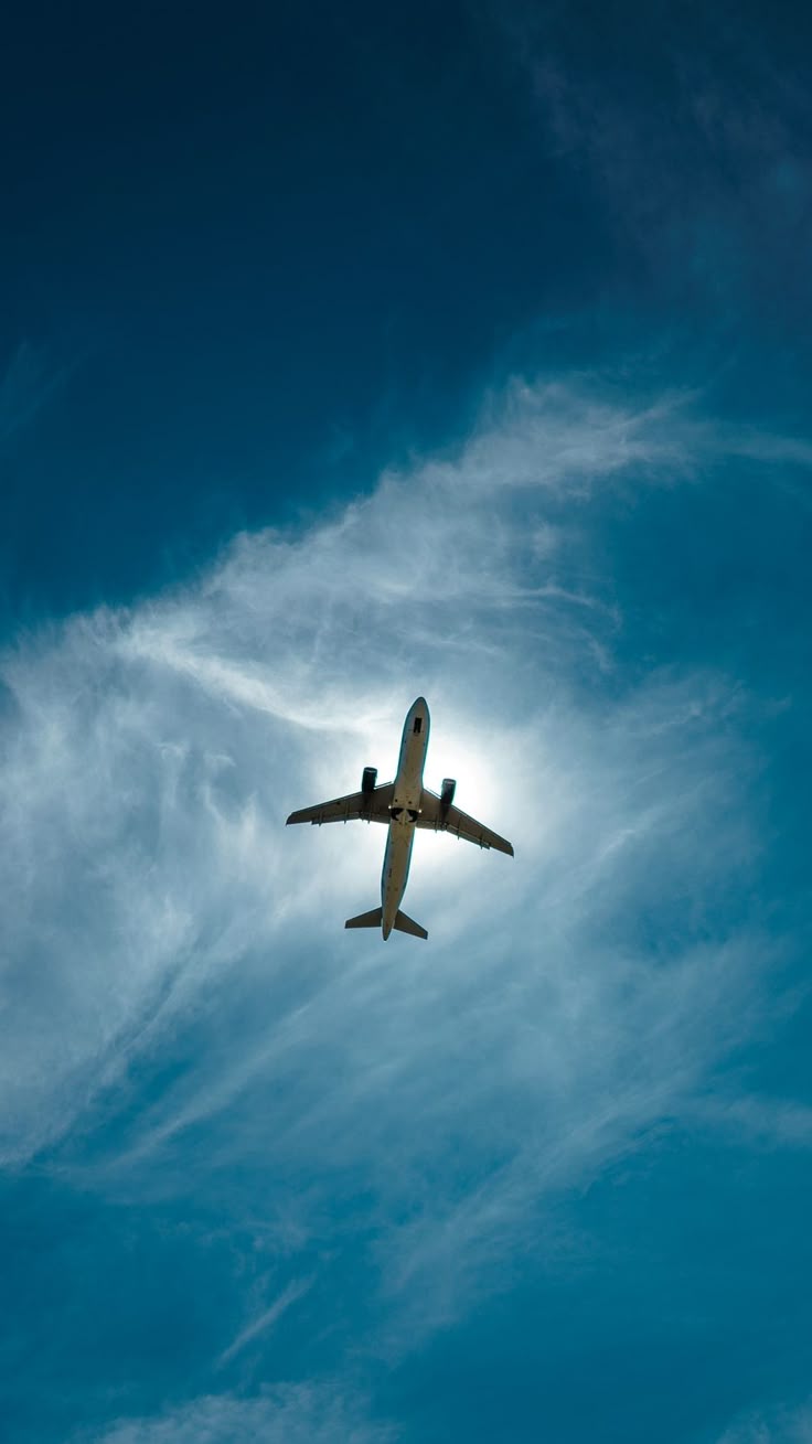736x1309 Airplane, sky, flight, clouds, height wallpaper, background