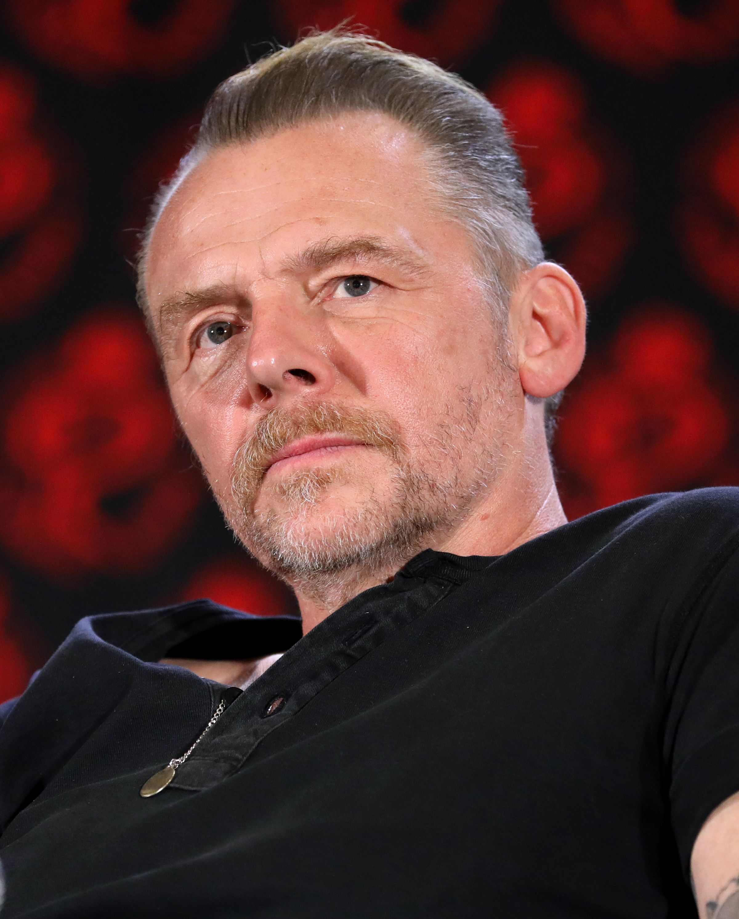 2400x2983 Simon Pegg