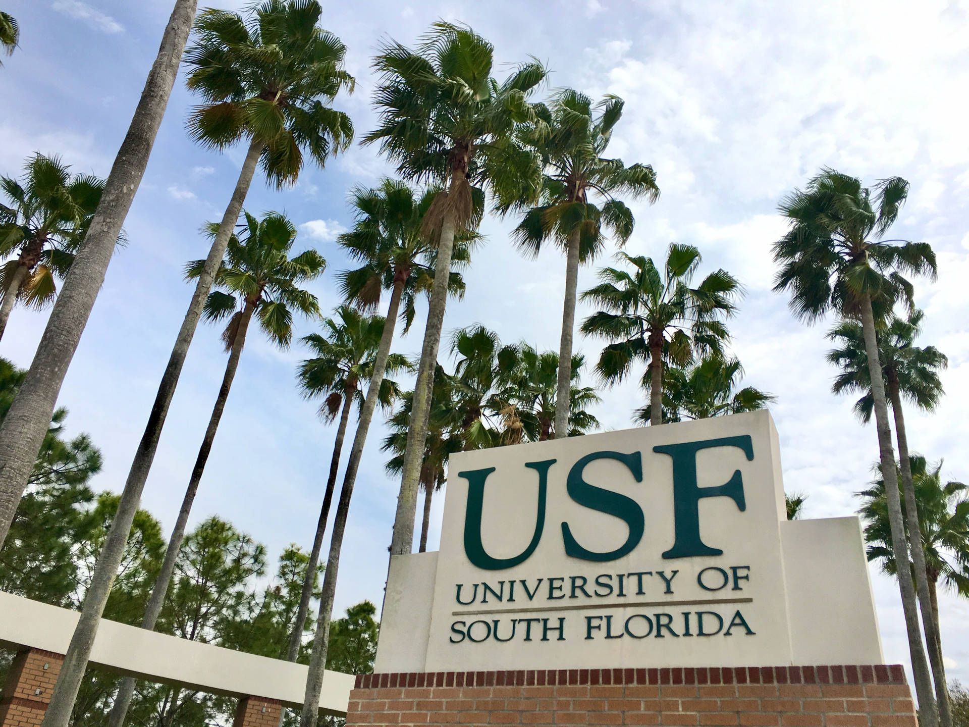 1920x1440 University Of South Florida Wallpaper