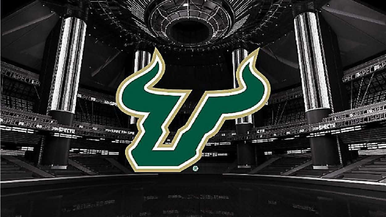 1250x703 University Of South Florida Wallpaper