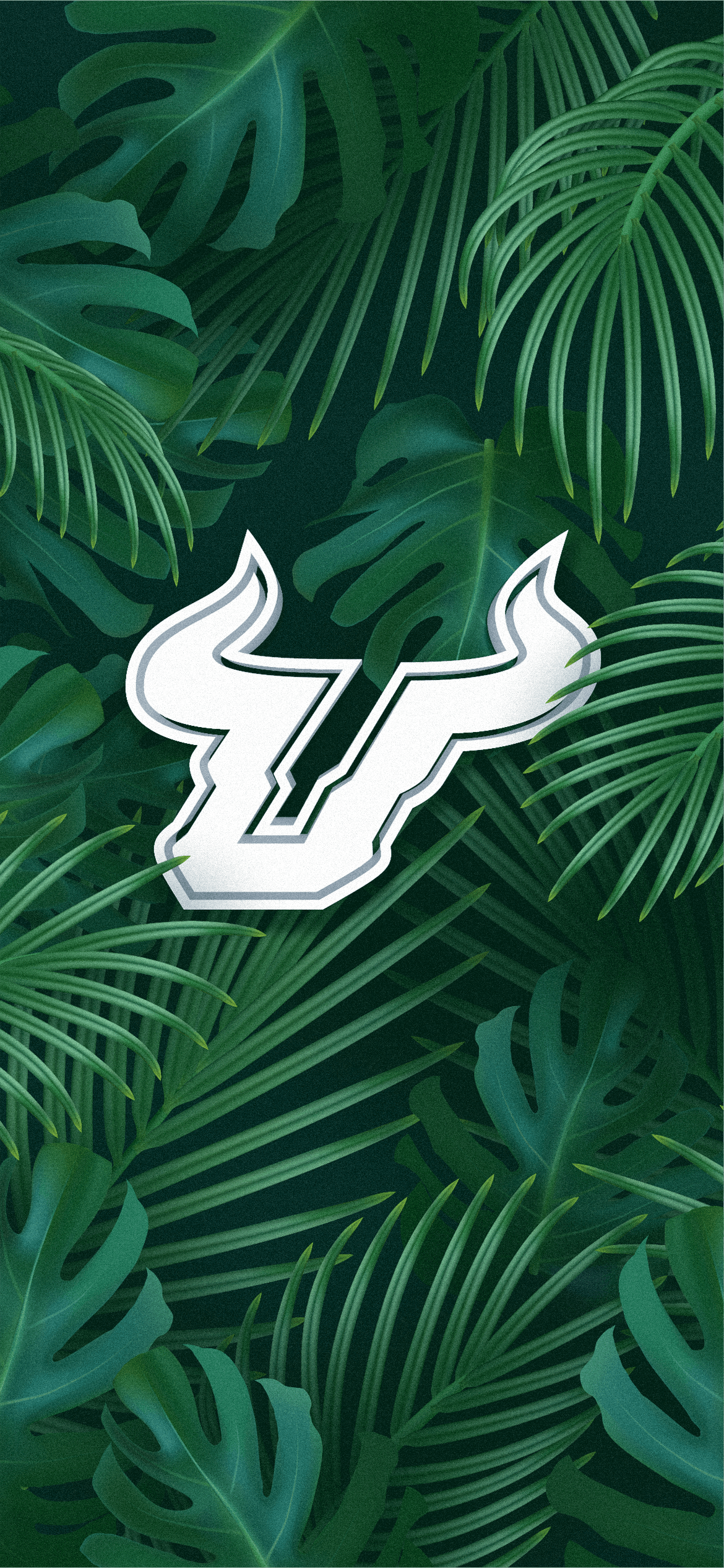 1170x2532 Admitted Student Next Steps. Freshmen. University of South Florida