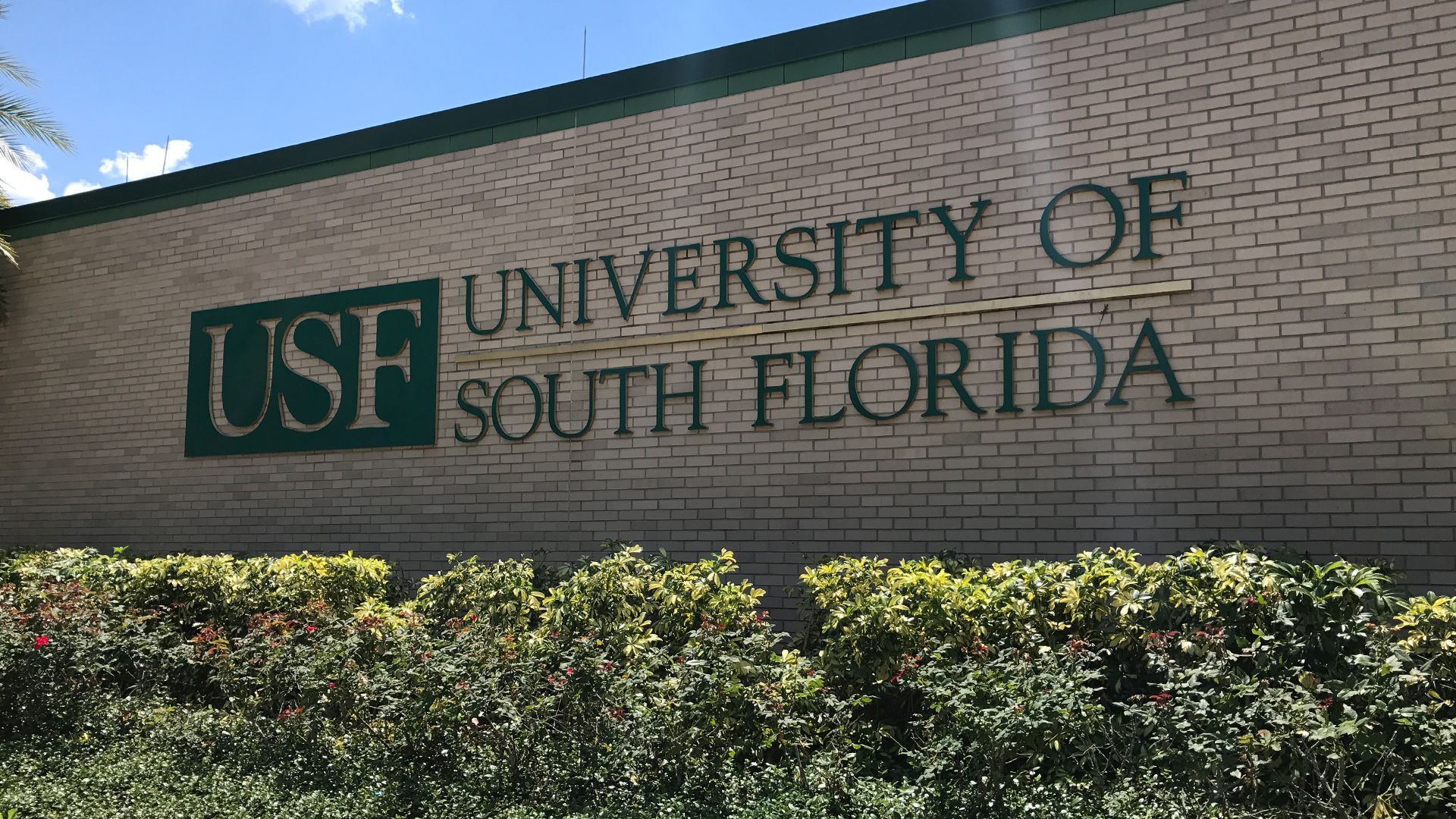 1920x1080 Florida Approves USF's Plan To Resume On Campus Classes In Fall