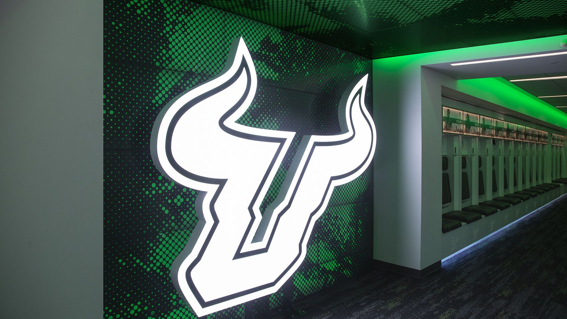 1920x1080 University of South Florida