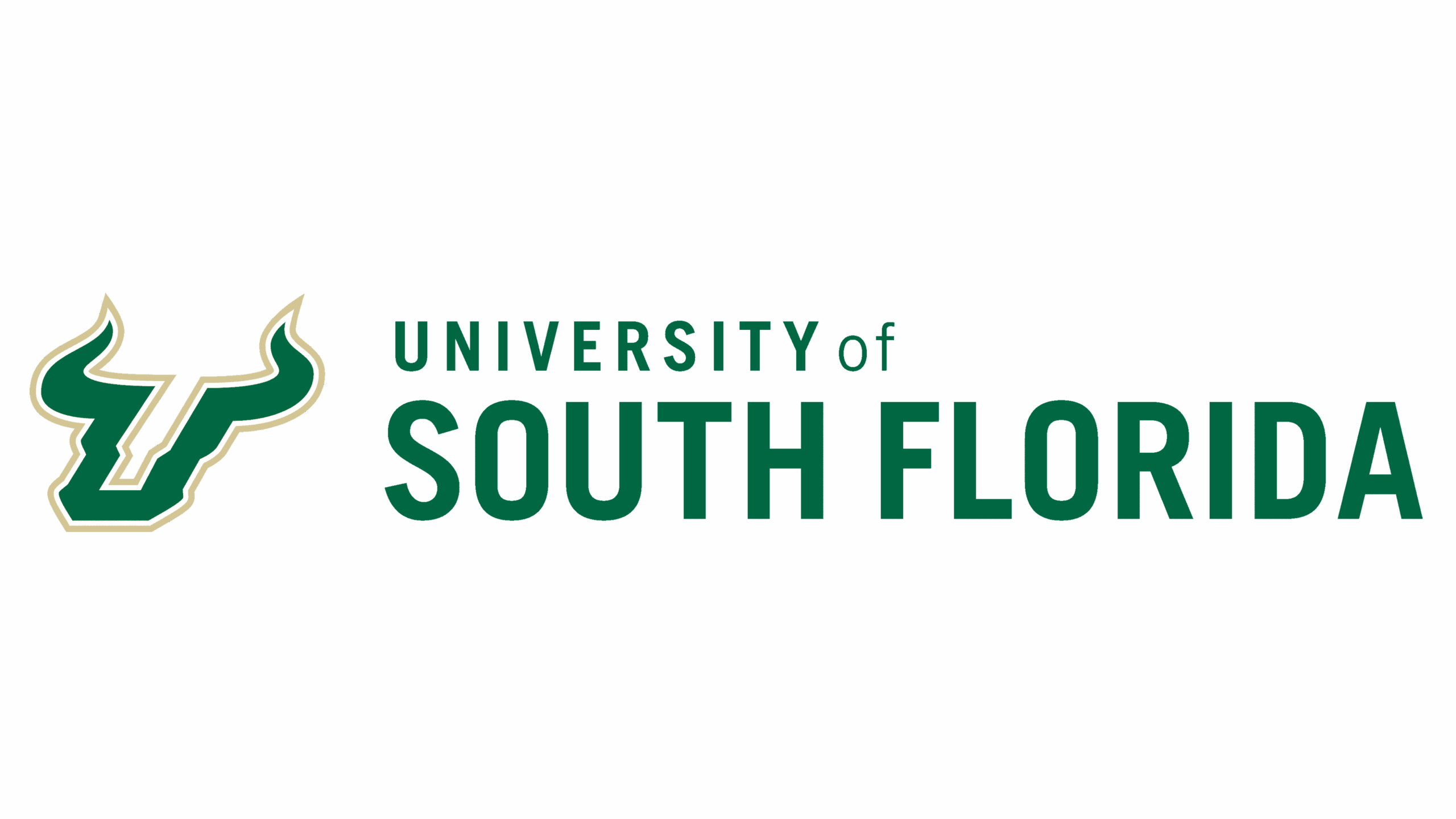 2560x1440 University of South Florida
