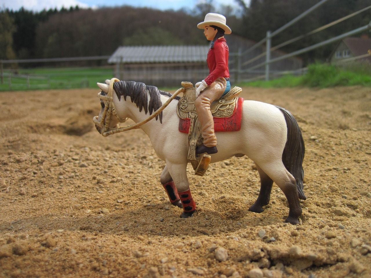 1280x960 Free Slow Horse & Horse Image