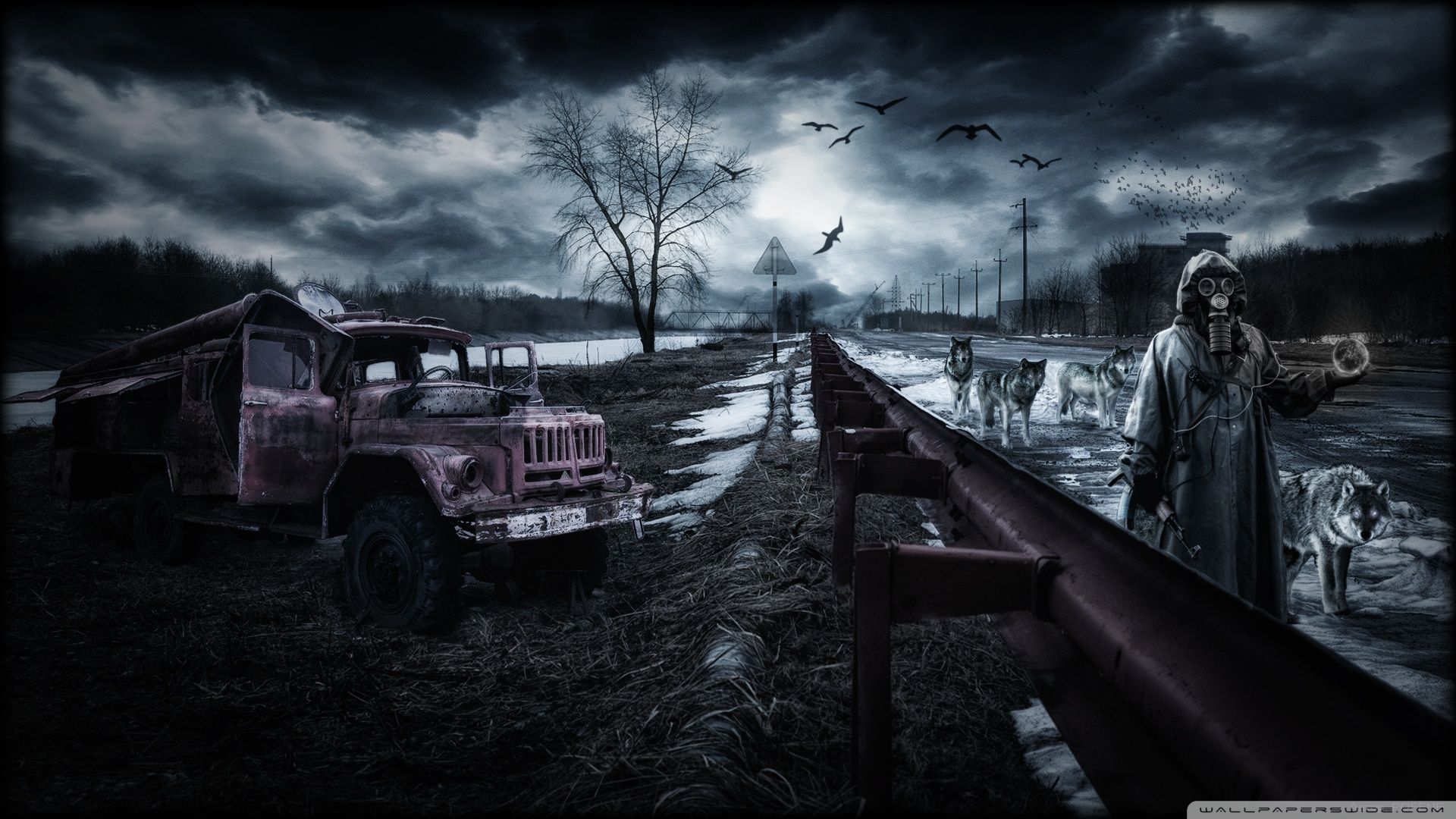 1920x1080 Chernobyl Wolves 4K UHD Wallpaper for UltraHD Desktop and TV : Widescreen and UltraWide Display : Smartphone and Tablet Devices