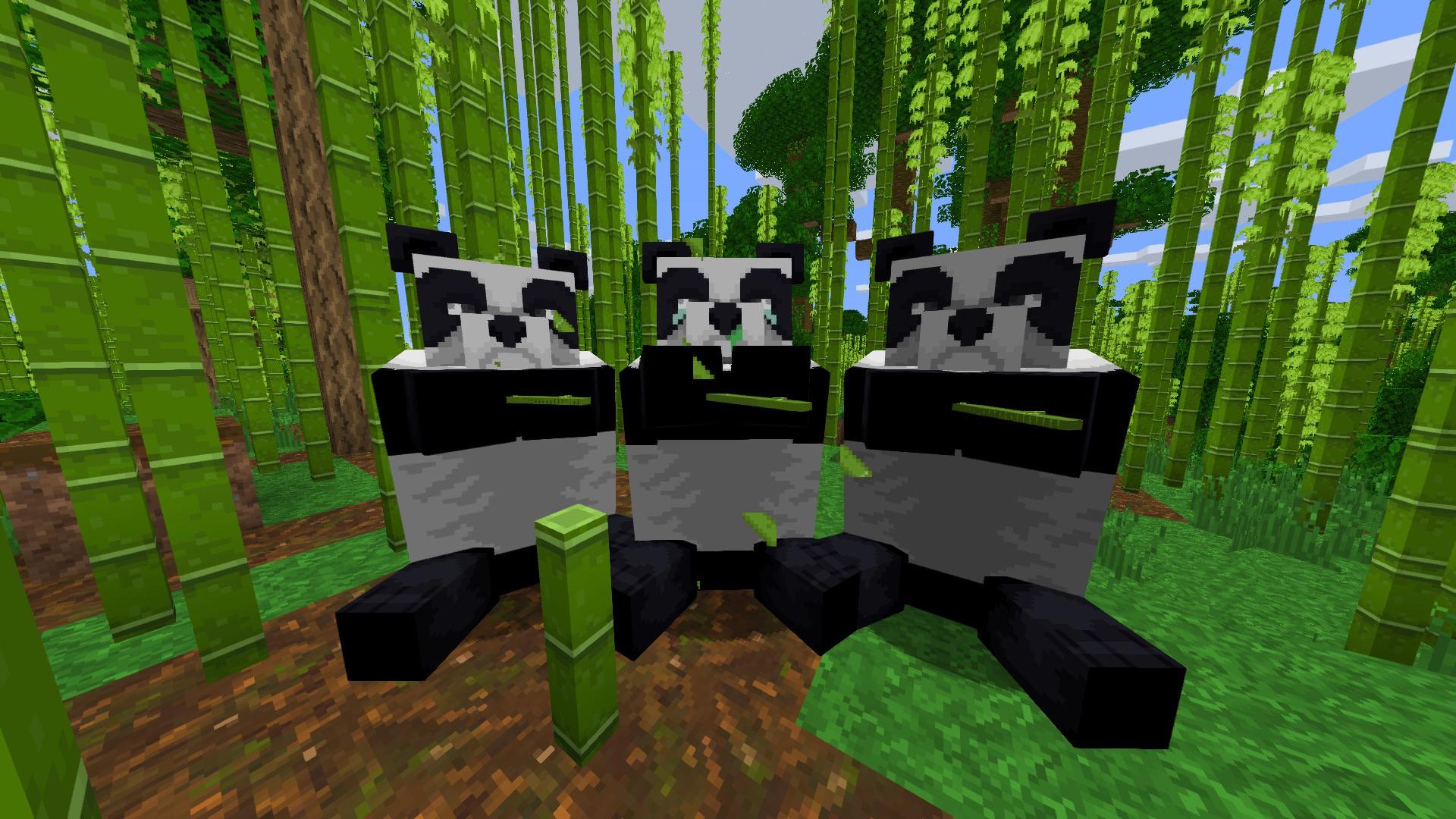 1920x1080 A cute picture of some panda's I took a while ago!