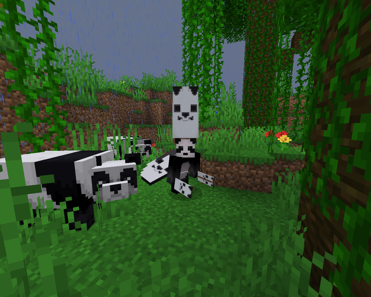 1280x1024 So in case, you didn't notice, I really like pandas