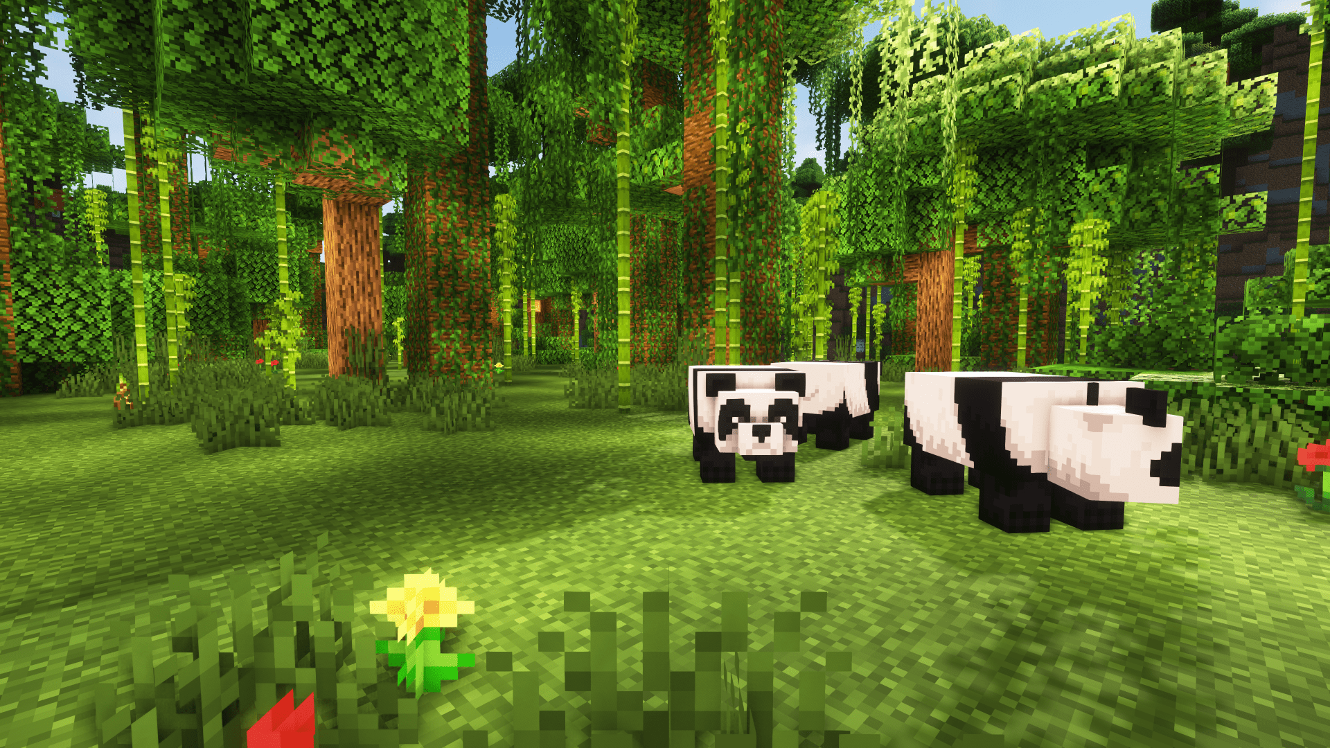 1920x1080 Panda Protection