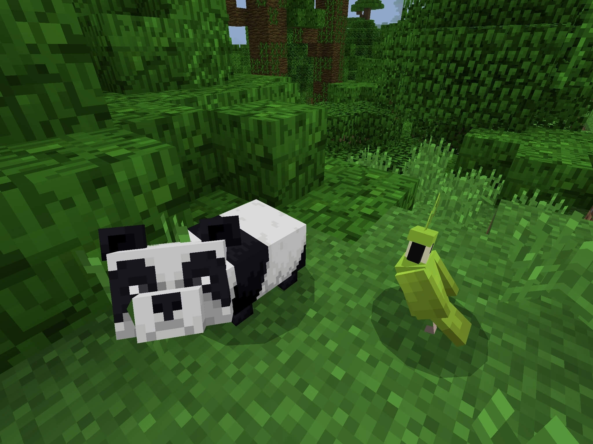 2048x1536 Panda Spotting. Seed Minecraft PE