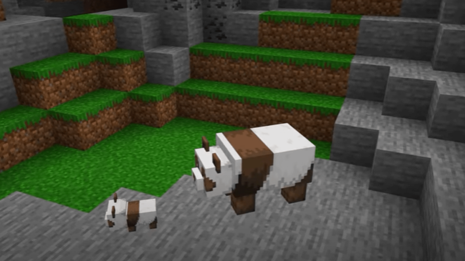 1600x900 Minecraft' Guide: Where to Find the Elusive Pandas and What to do With Them