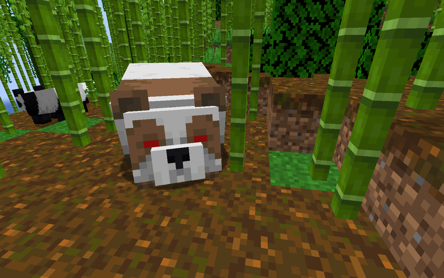 1440x900 Panda and Axolotl Variants Resource Packs