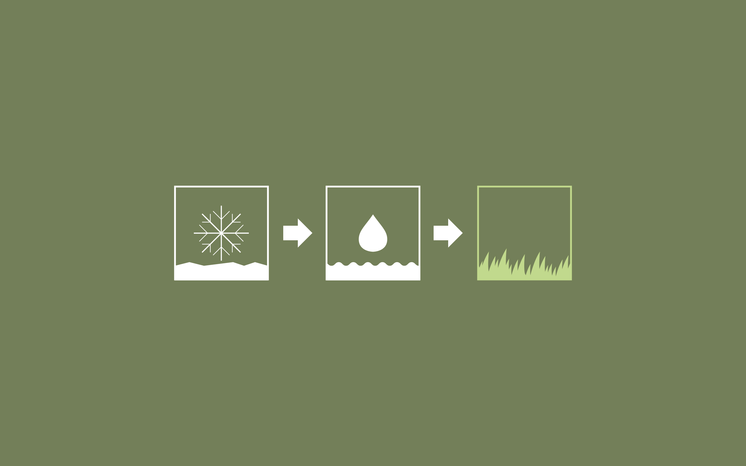 2560x1600 more Android wallpaper for Spring 2013