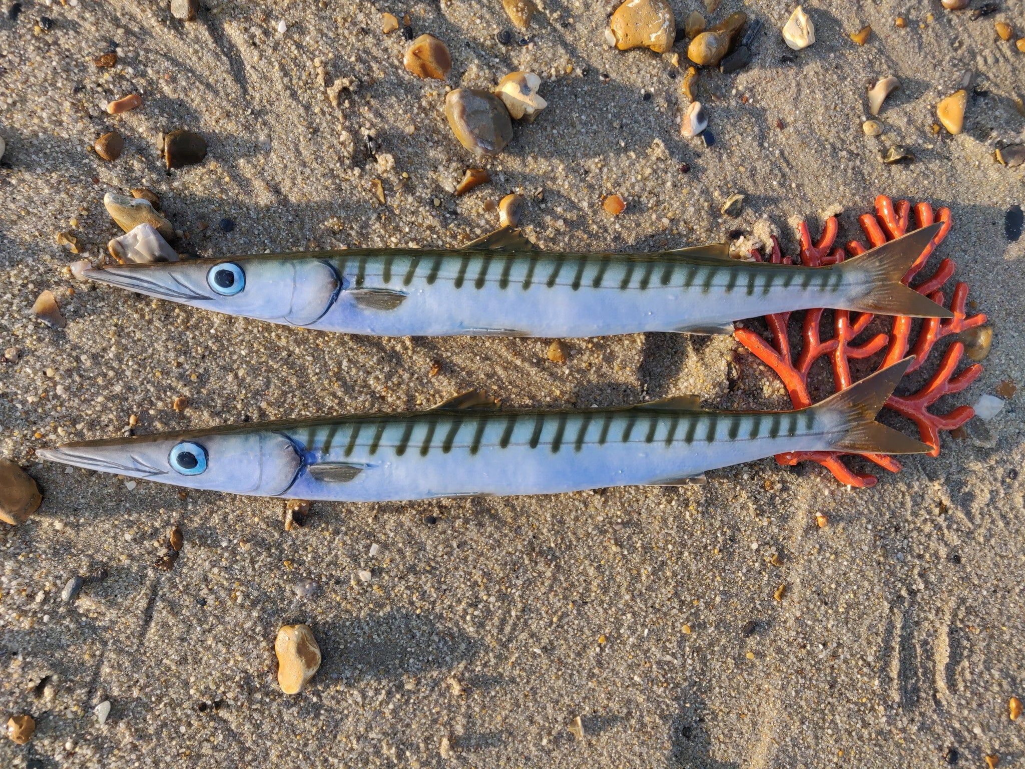 2048x1536 Barracuda. Ceramic Marine Art from Sicily