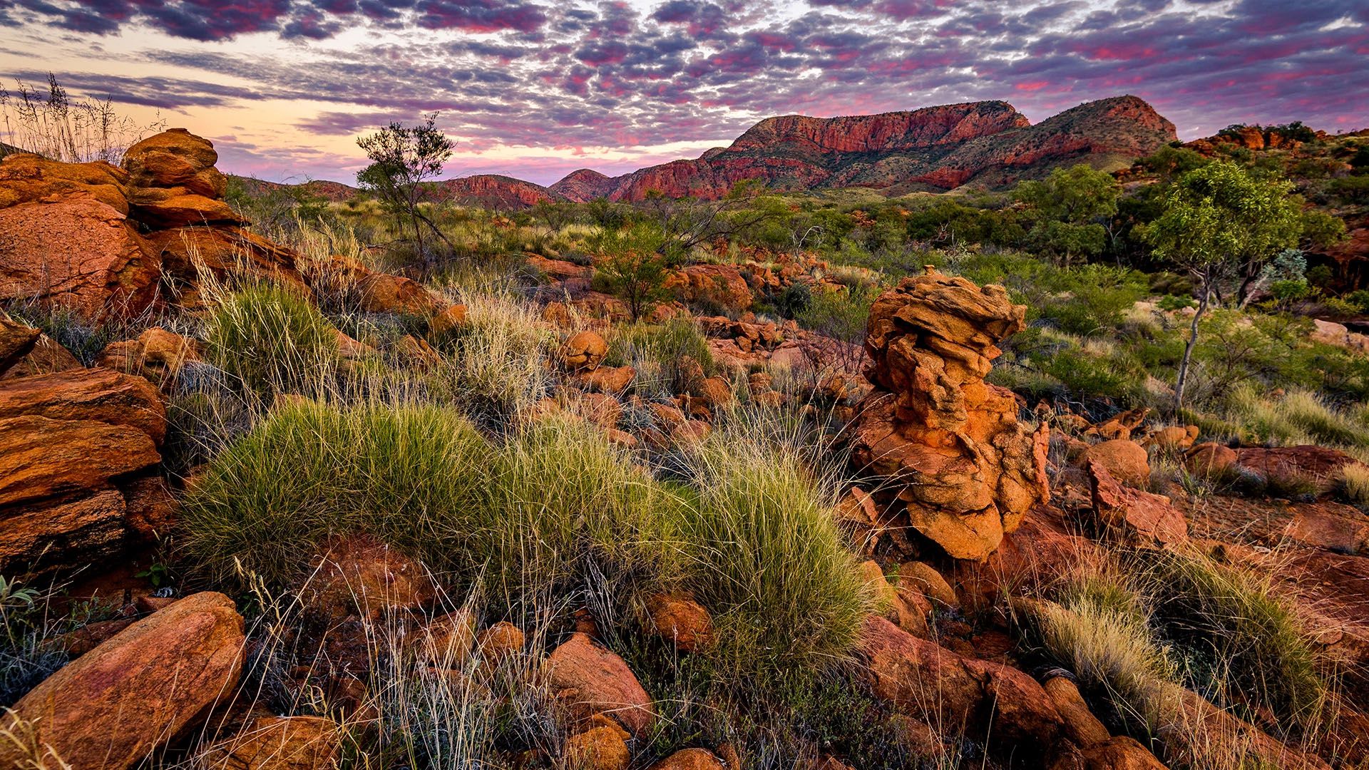 1920x1080 Alice Springs Removalists and Furniture Movers. Allied Moving Services