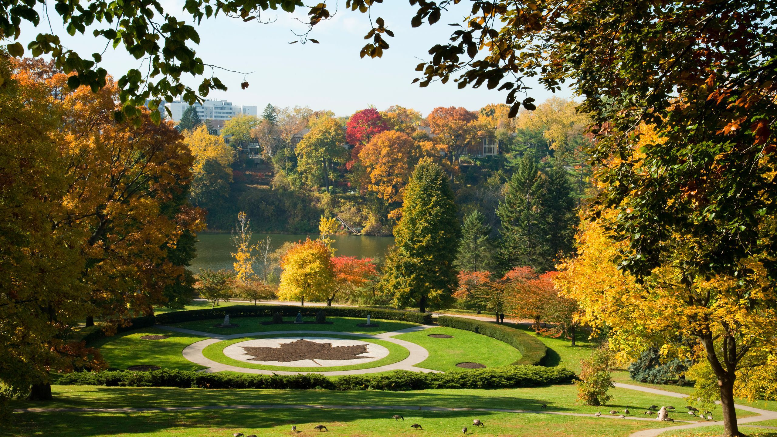 2560x1440 High Park, Toronto, Ontario, Canada
