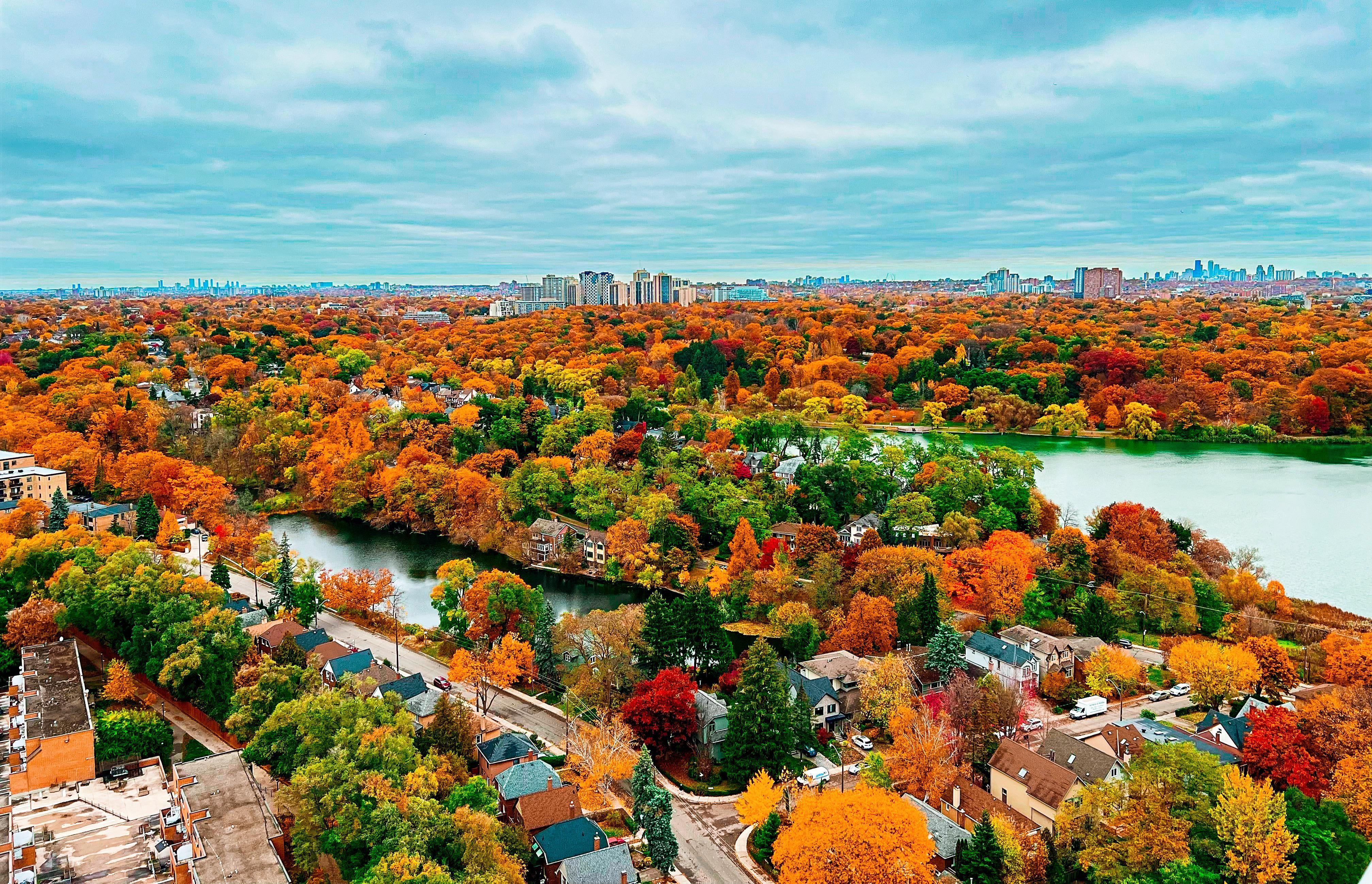 4032x2597 High park fall colors
