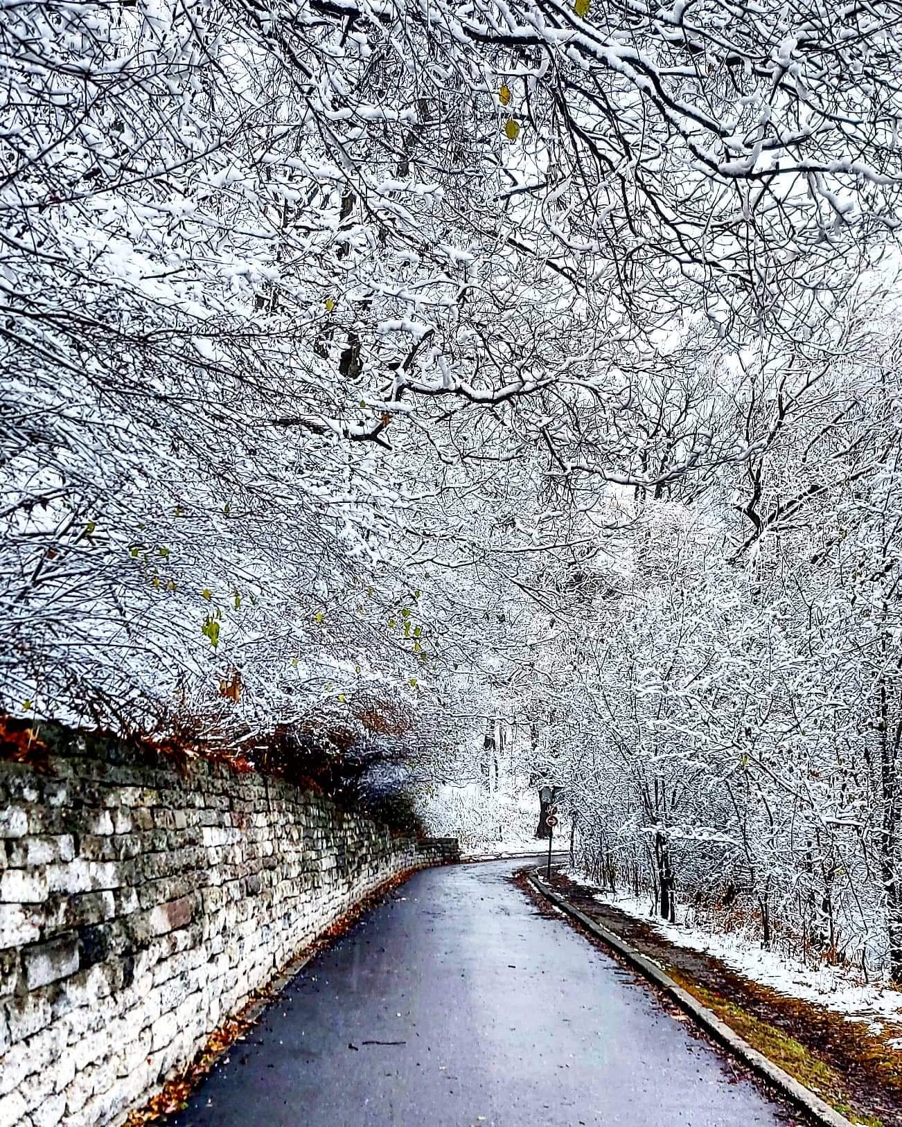 1302x1627 High Park today
