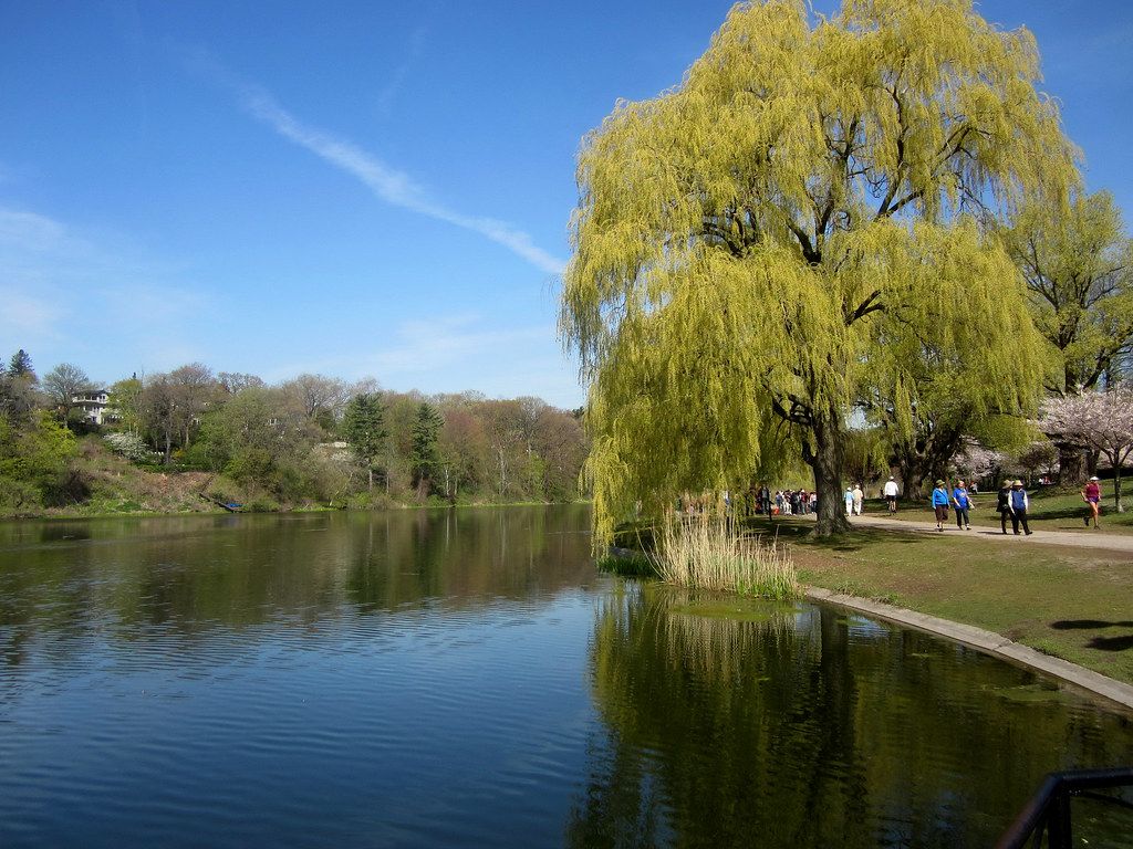 1024x768 High Park Toronto (2026)