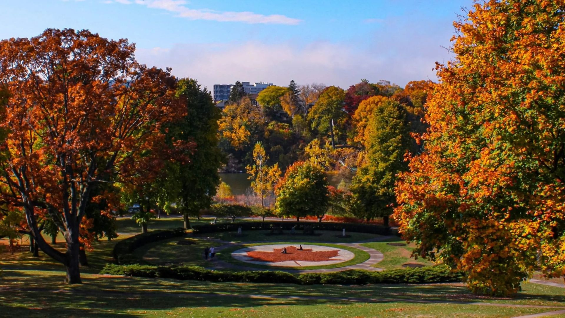1920x1080 Fall Leaves in Ontario: Autumn Colours in Toronto and Beyond!