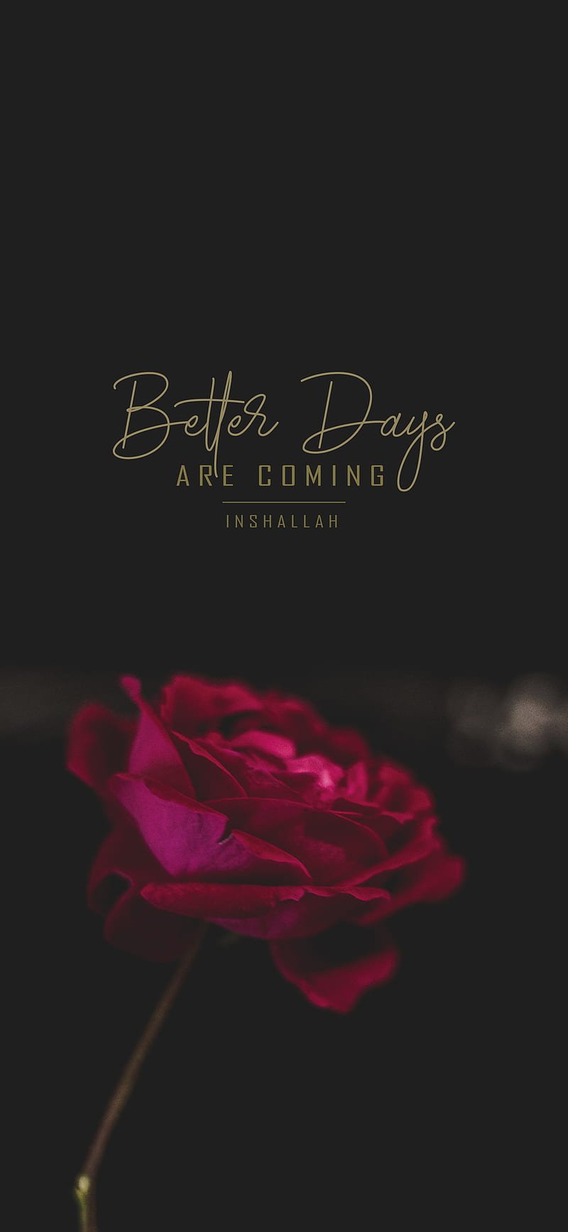 800x1733 HD inshallah wallpaper