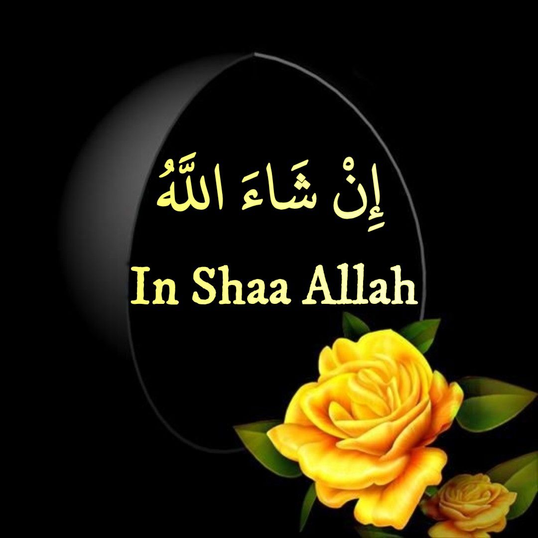 1080x1080 Insha Allah ideas. assalamualaikum image, islamic image, allah