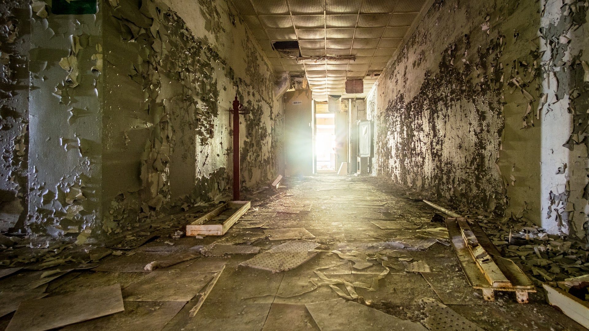1920x1080 What Is Chernobyl Like Today?