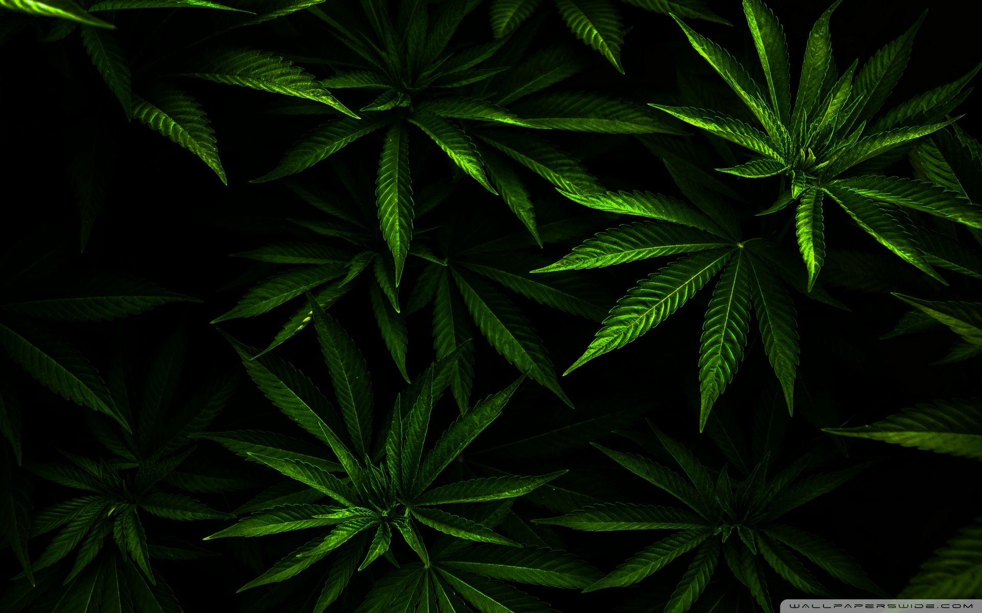 1920x1200 Marijuana Background. Toy Story