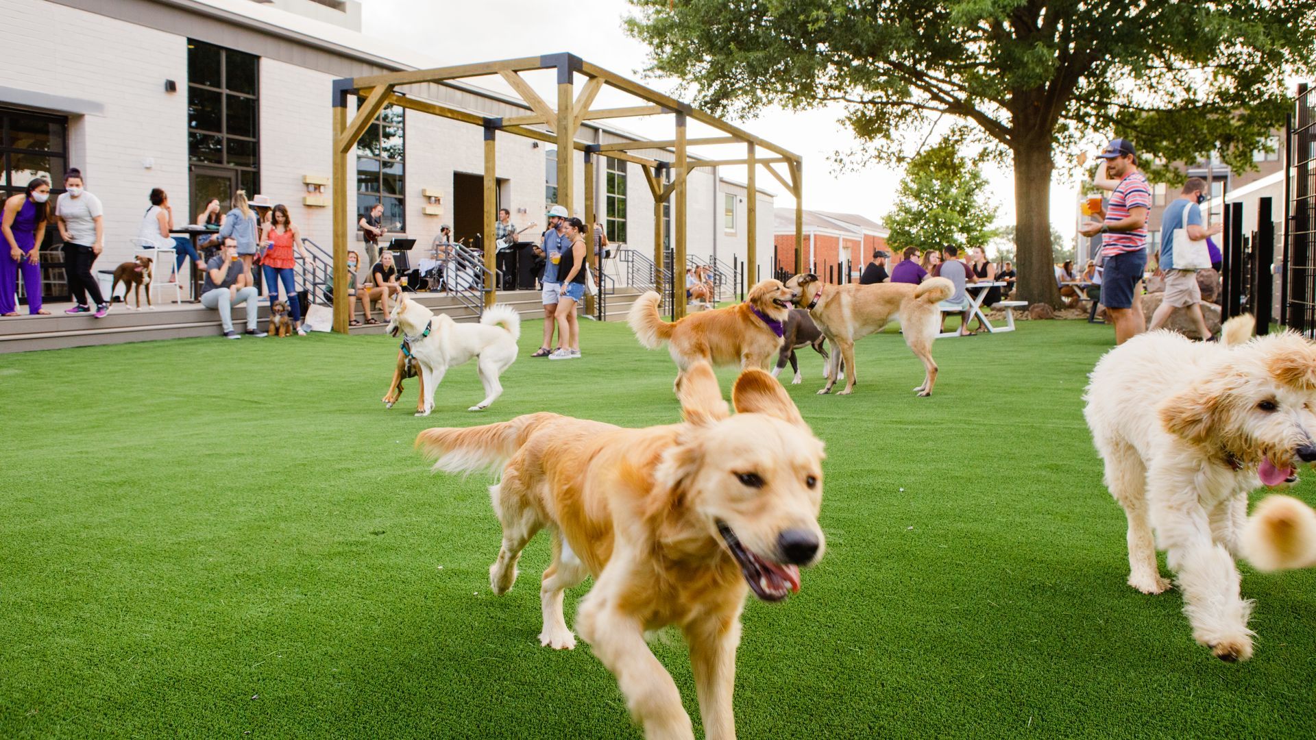 1920x1080 Skiptown to open upscale dog park in Atlanta