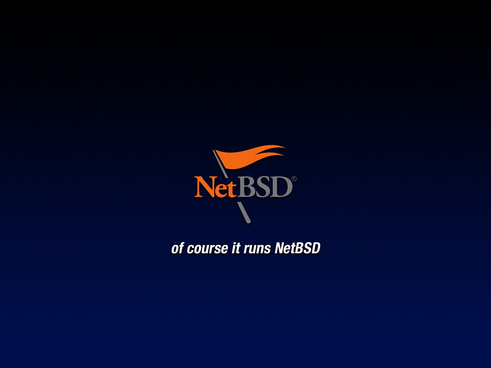 1600x1200 NetBSD Wallpaper