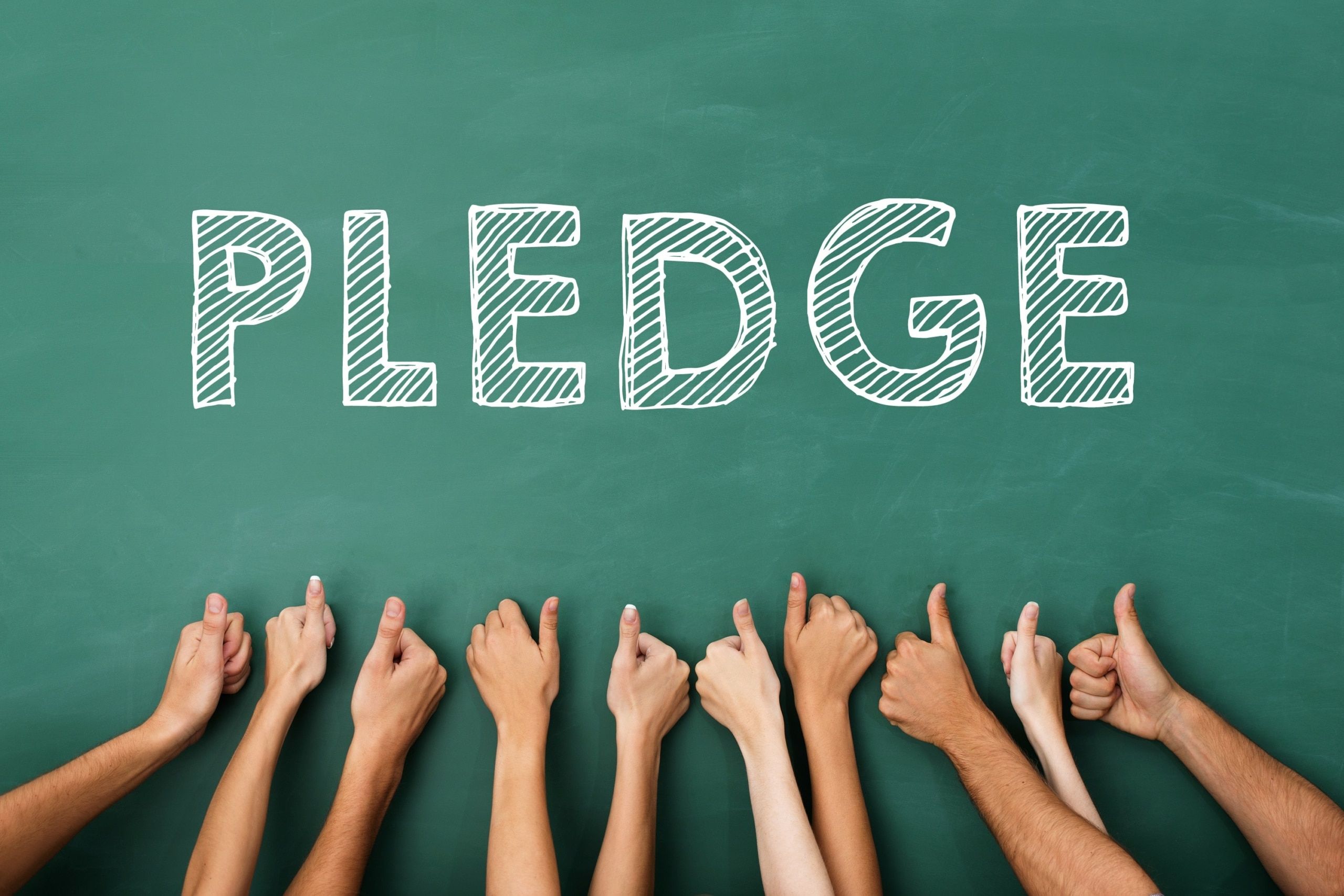 Pledge Wallpapers - Top Free Pledge Backgrounds - WallpaperAccess