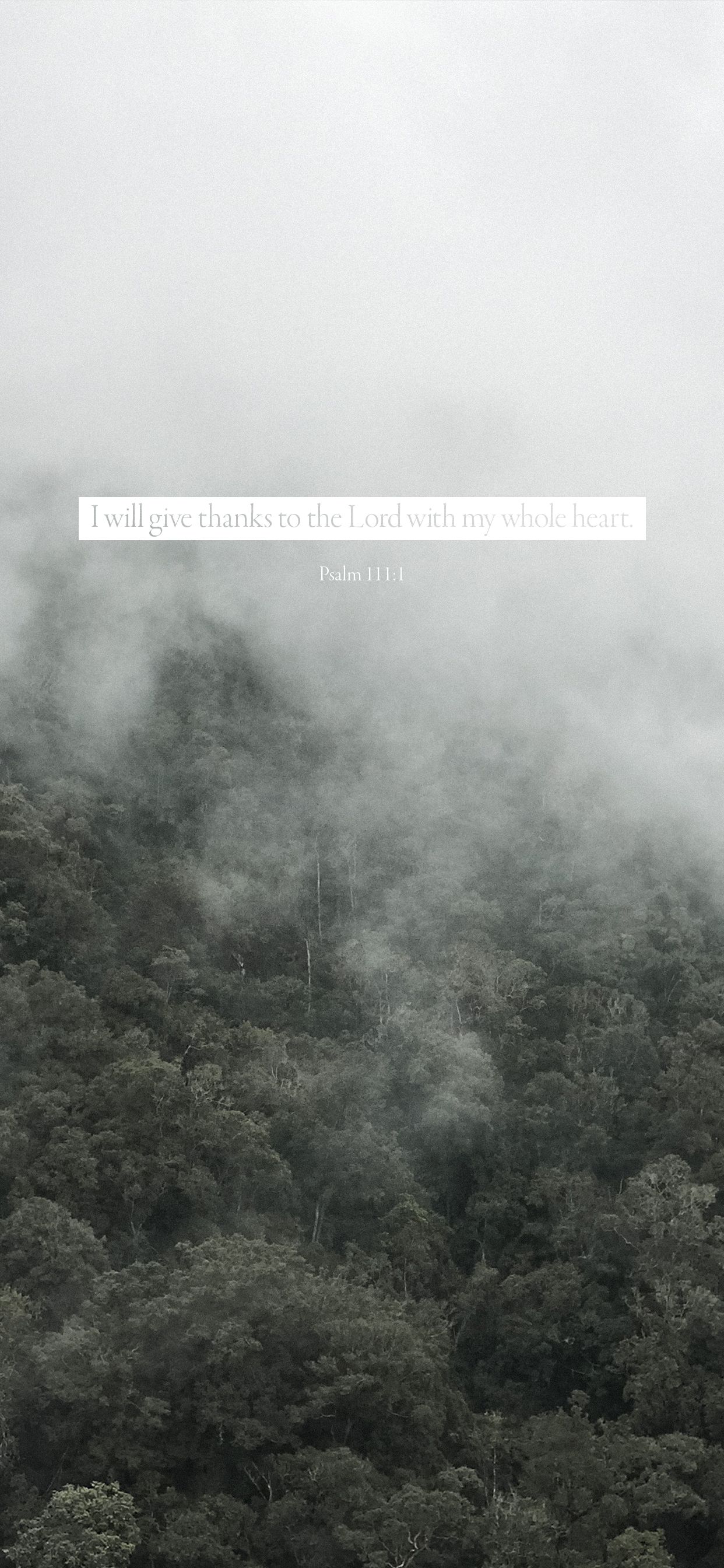 1242x2688 Aesthetic Bible Verse Wallpaper for Daily Encouragement