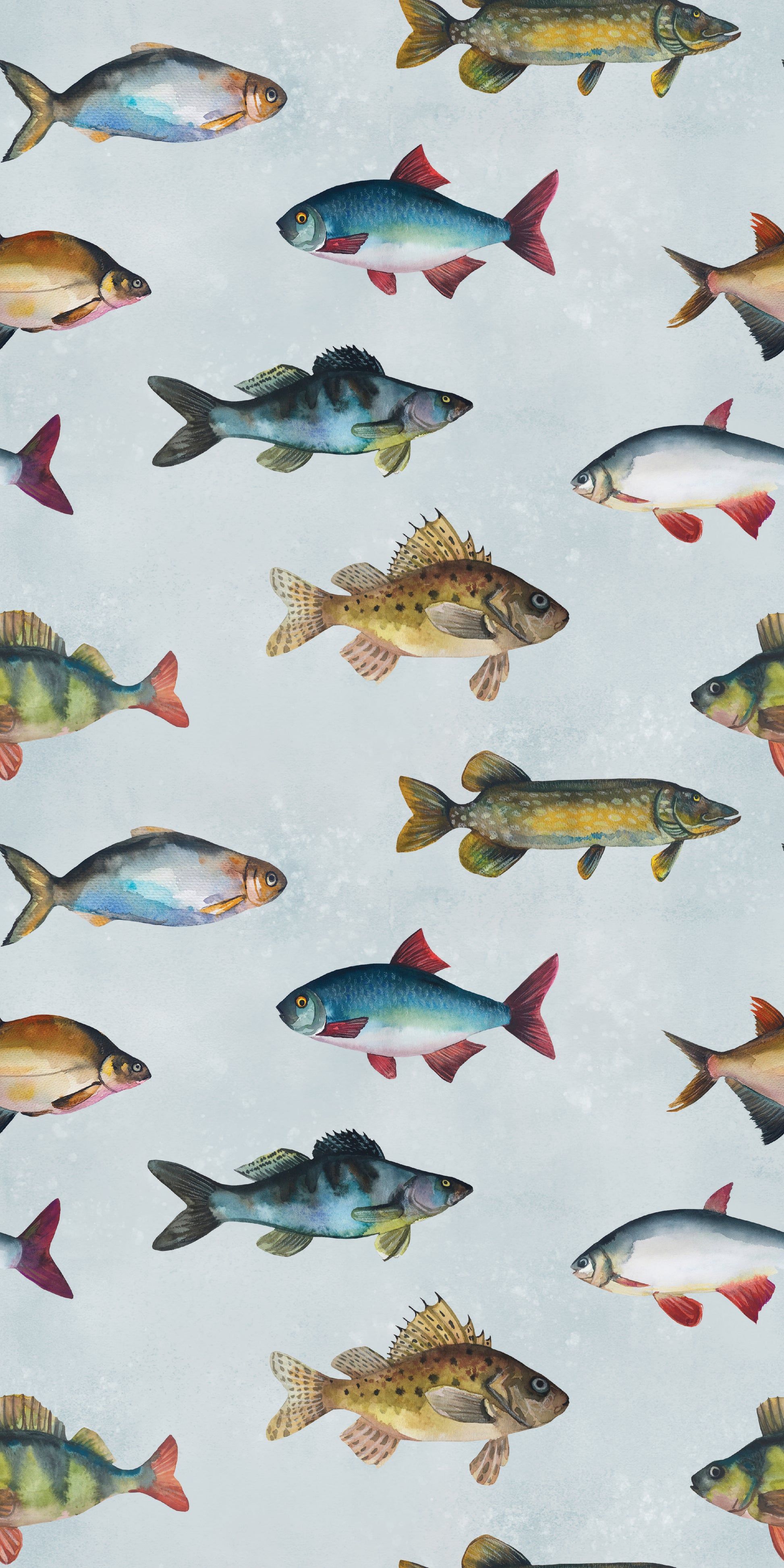 1946x3892 Freshwater Fish
