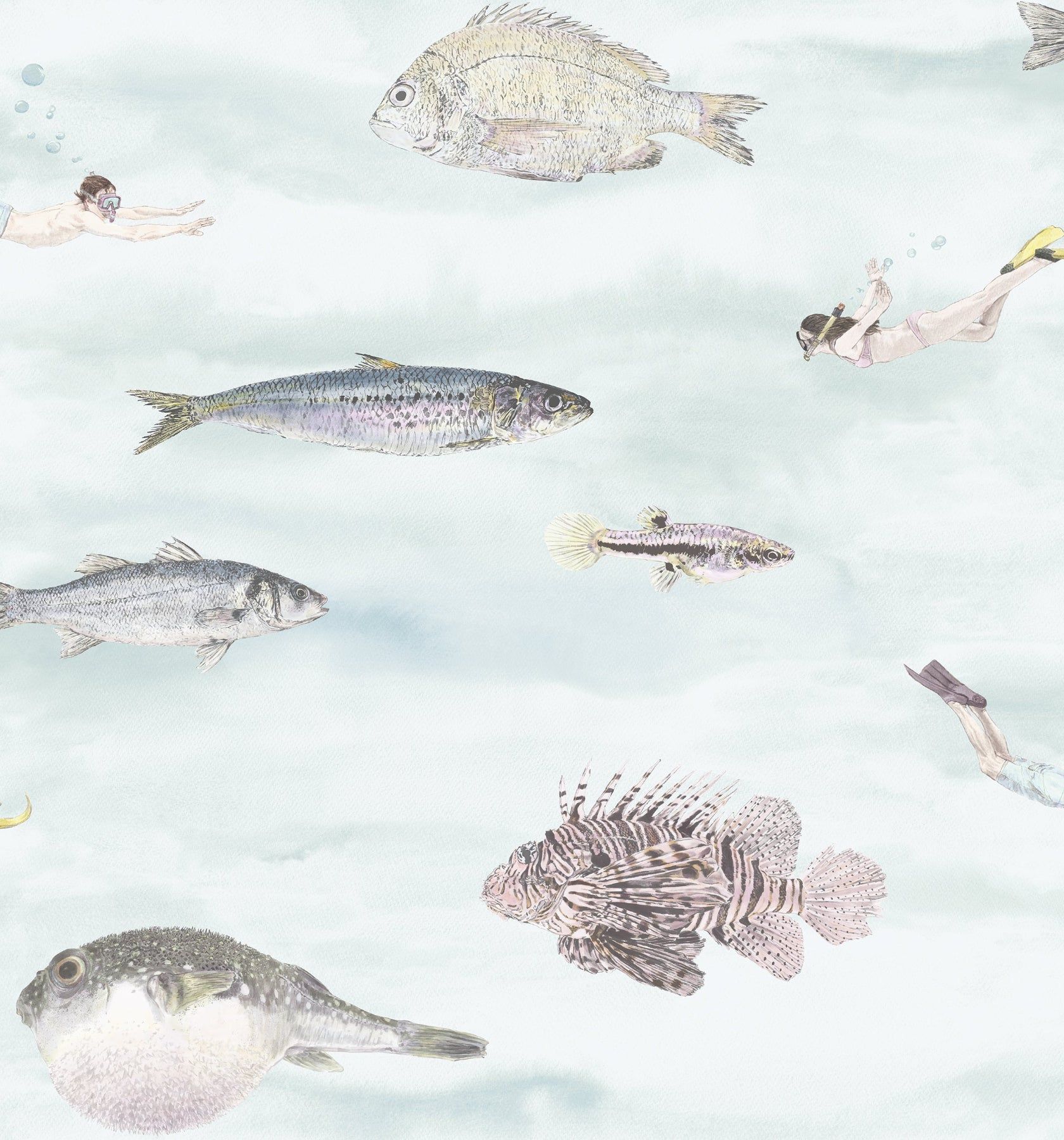 1680x1800 Classic Fish
