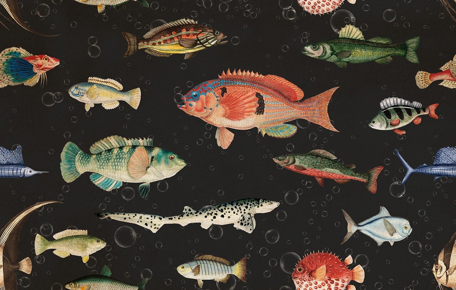1570x1000 Vintage Ocean Fish Art Wallpaper Mural • Wallmur UK
