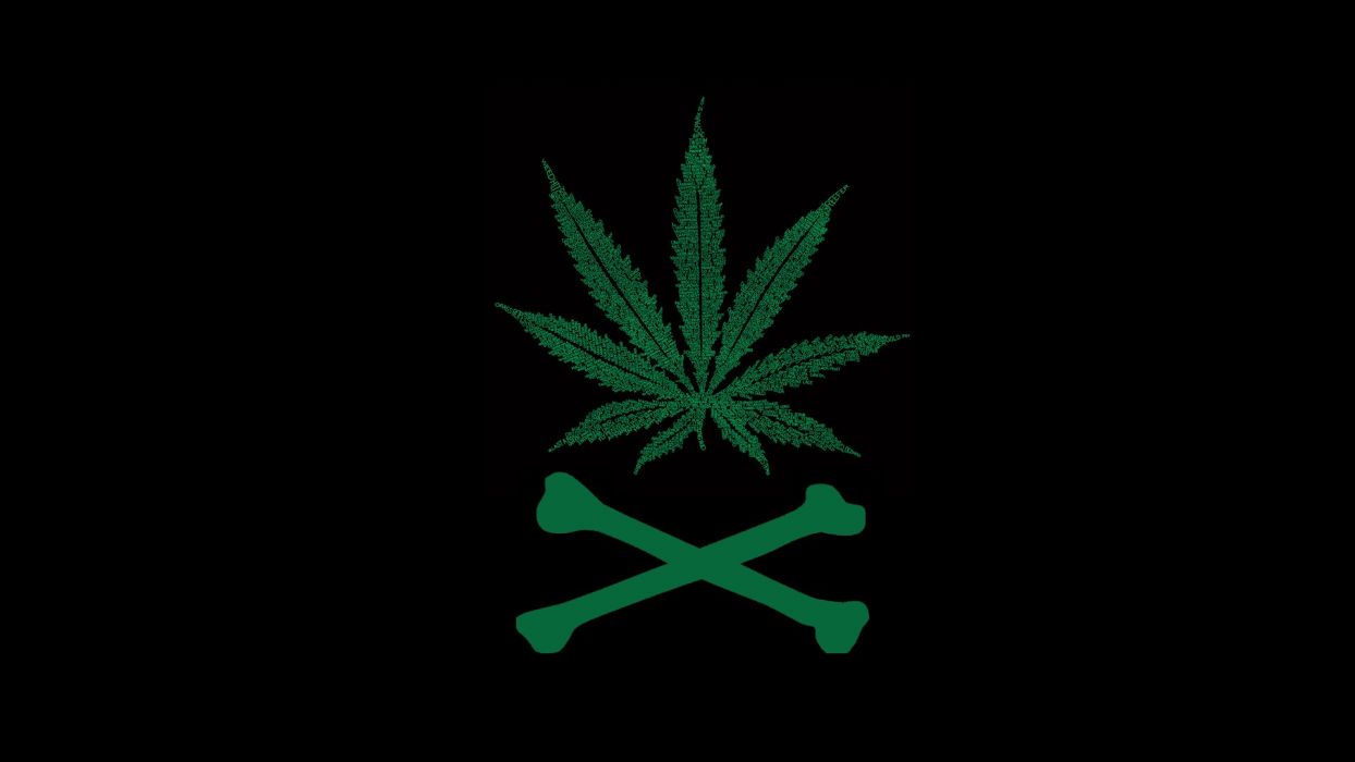1244x700 Weed drugs marijuana 420 nature psychedelic plant cannabis rasta