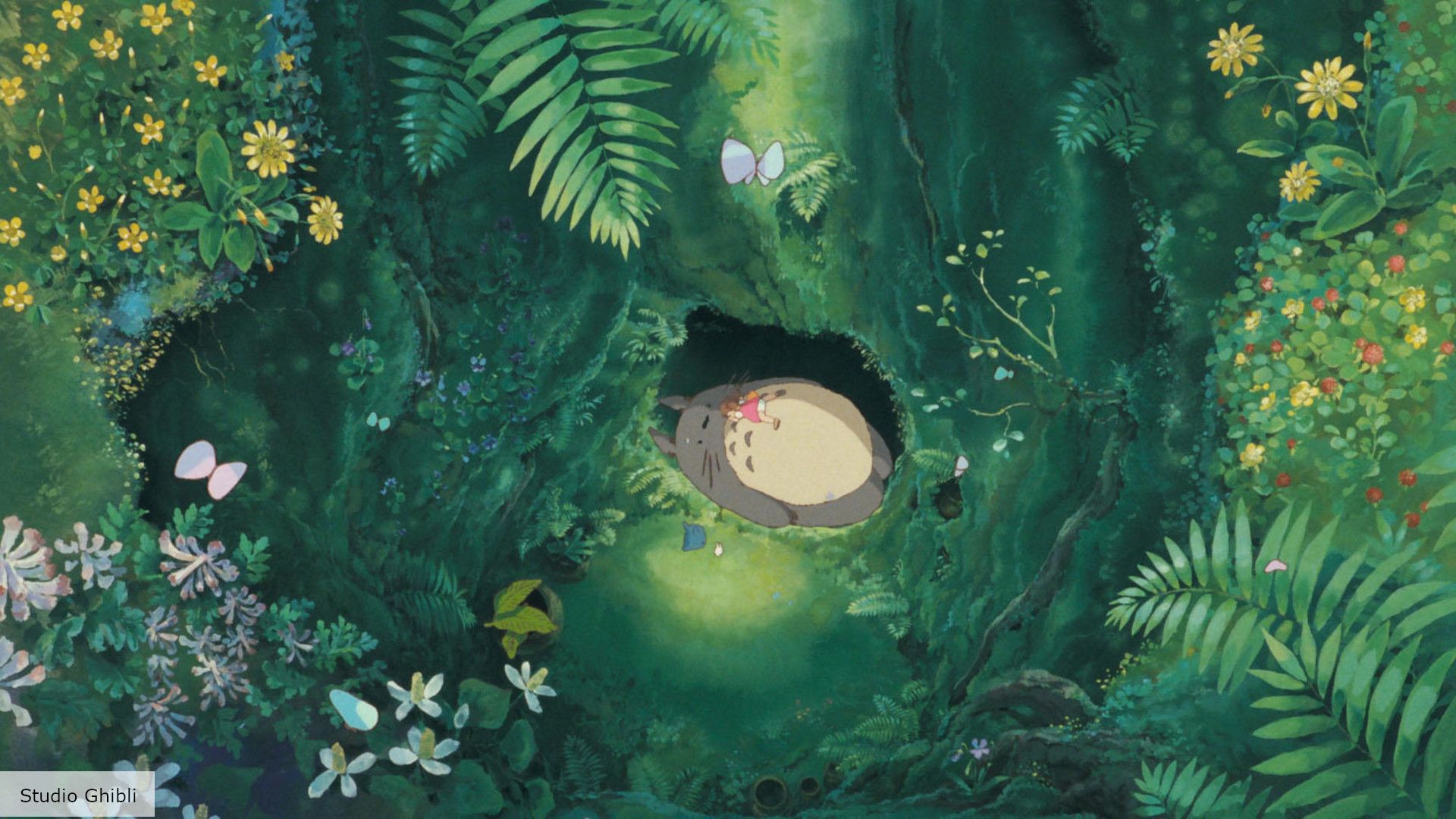 1920x1080 My Neighbour Totoro forest to be turned into nature reserve