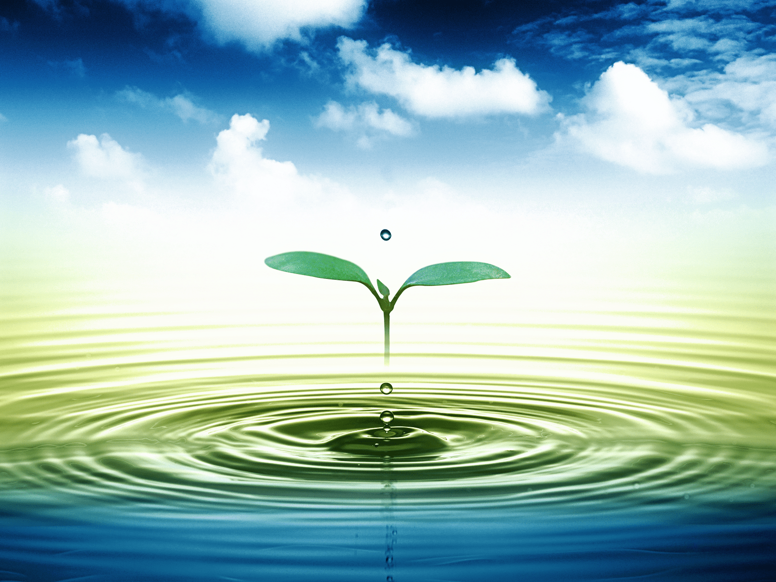 1600x1200 Water Conservation Wallpaper